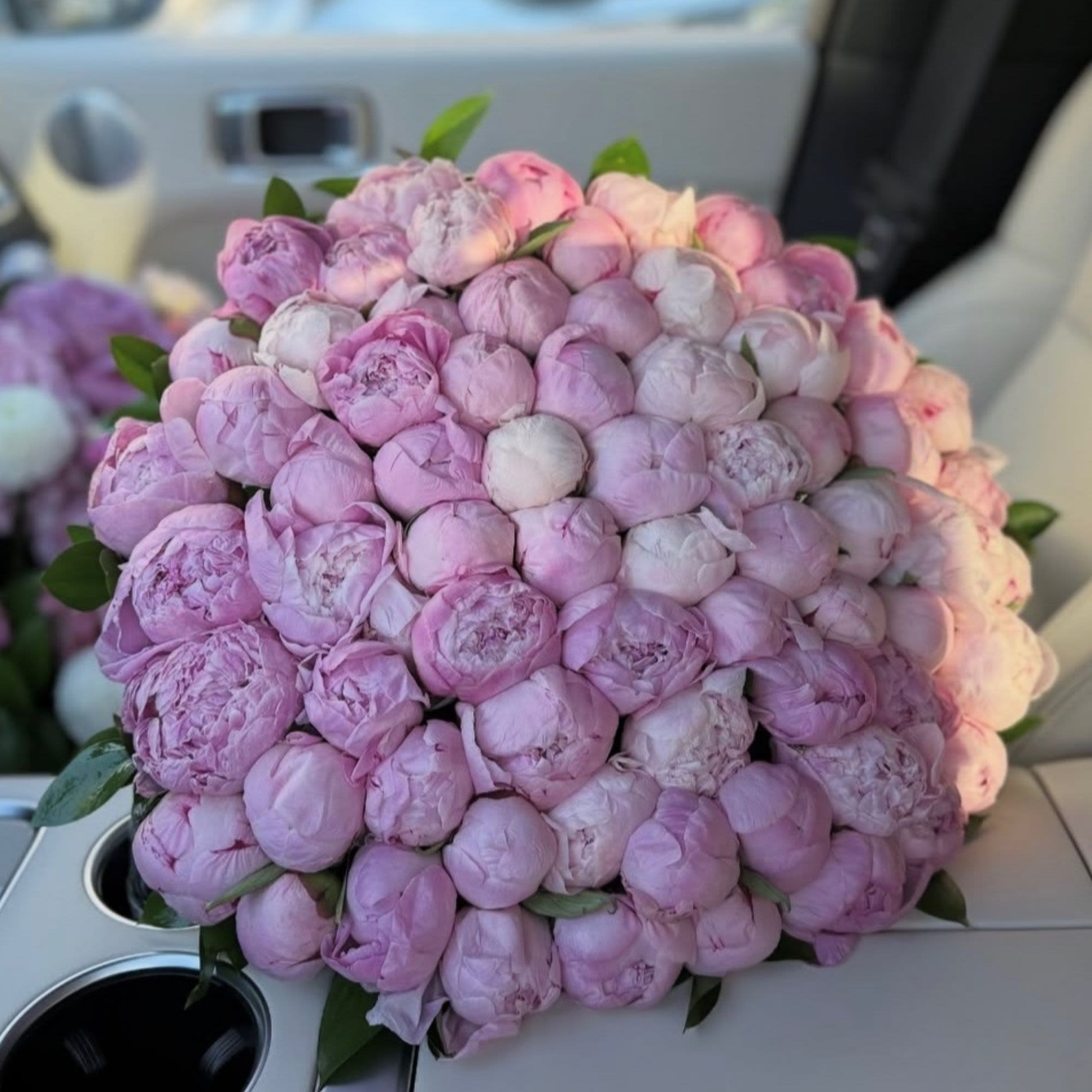 Large bouquet of pale pink peonies with a few green leaves