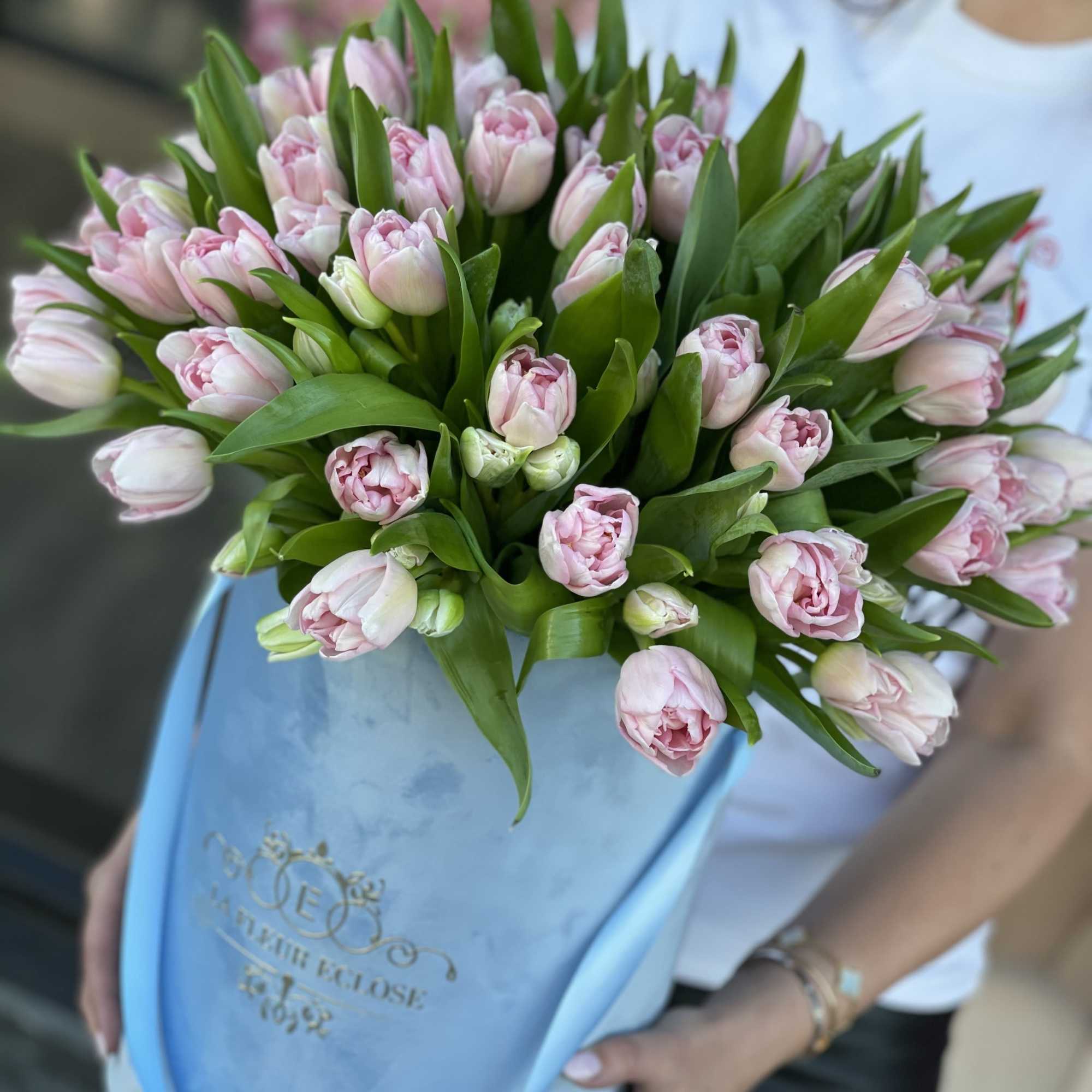 Bouquet of pale pink tulips wrapped in blue paper
