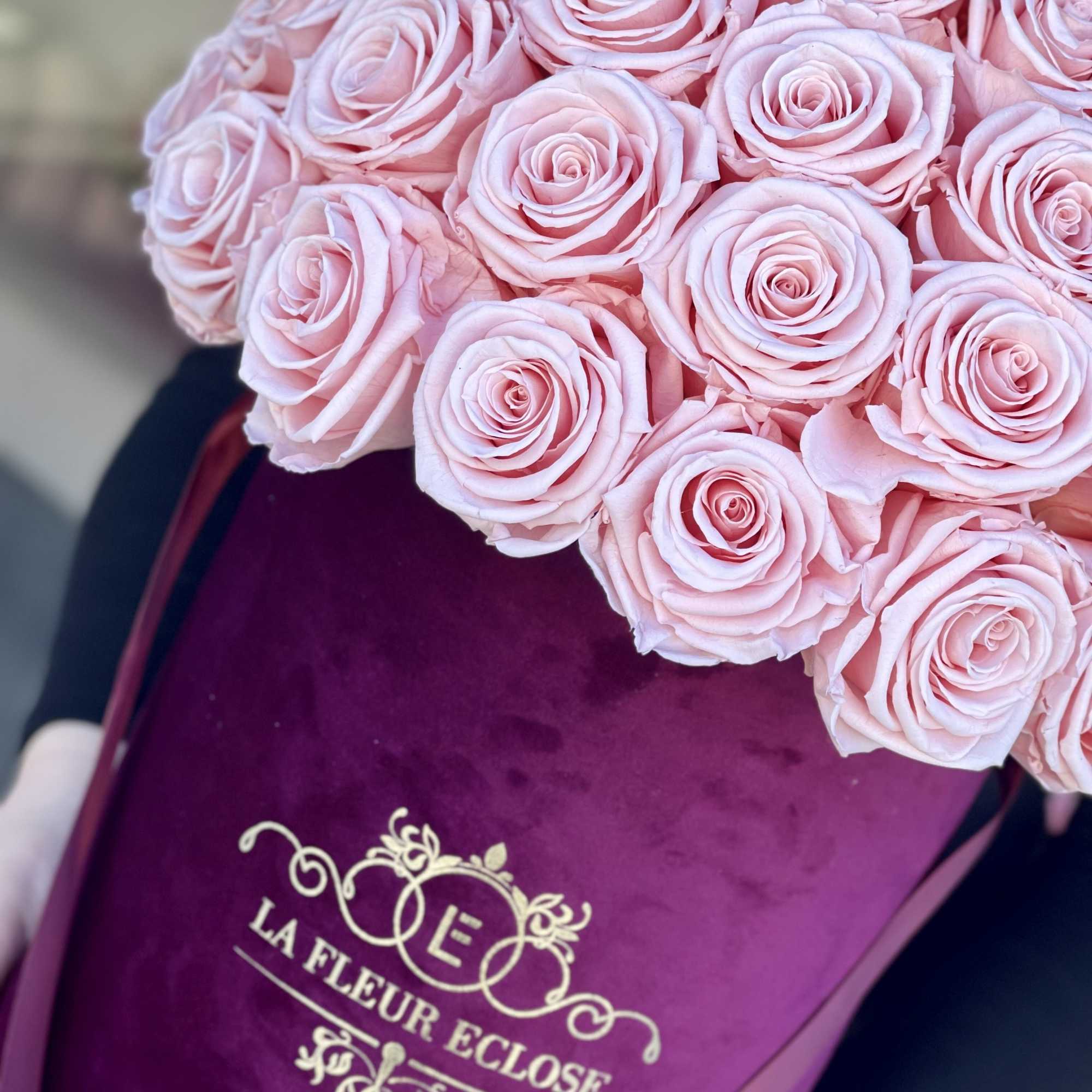 Bouquet of pale pink roses in a purple wrap