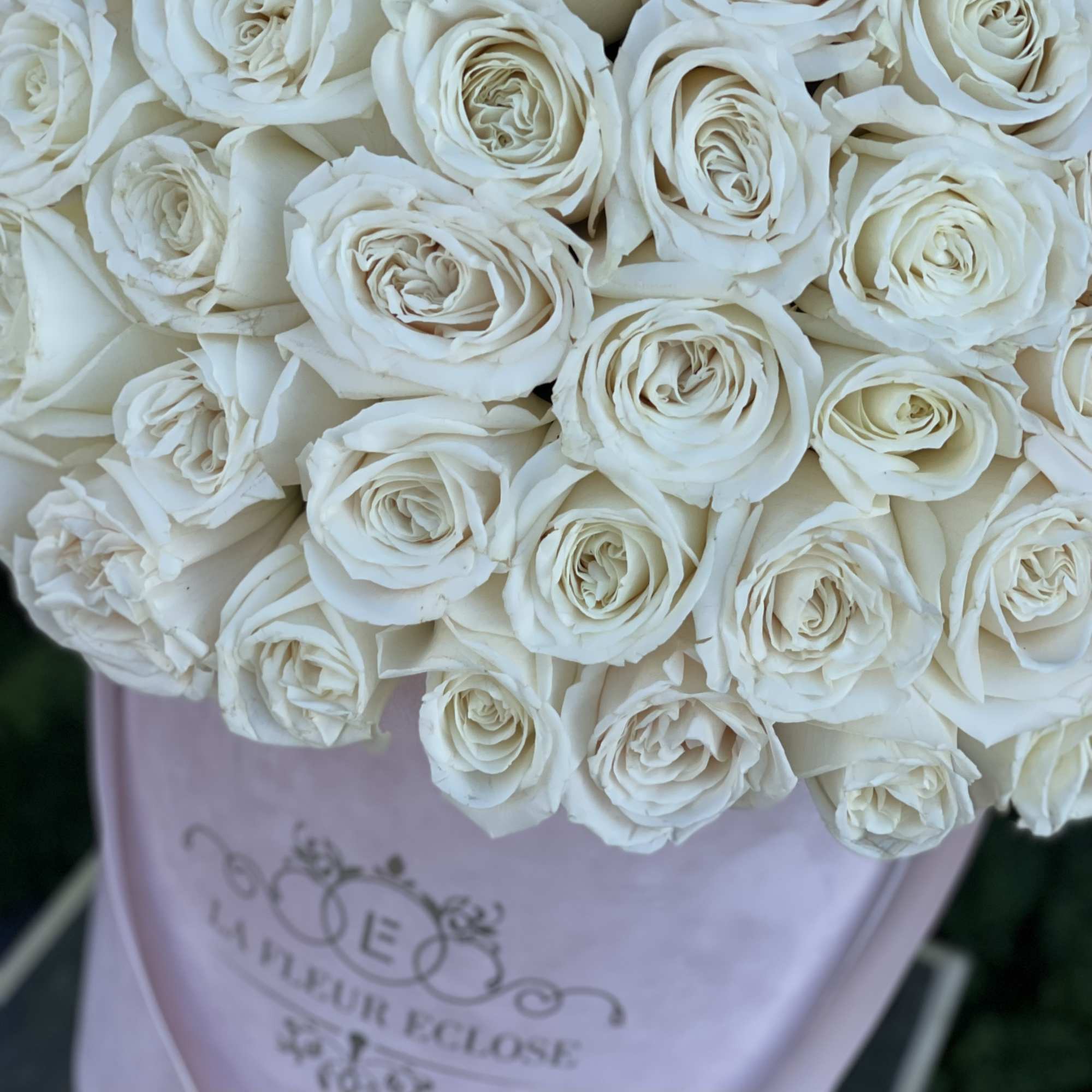 Bouquet of white roses wrapped in pale pink paper