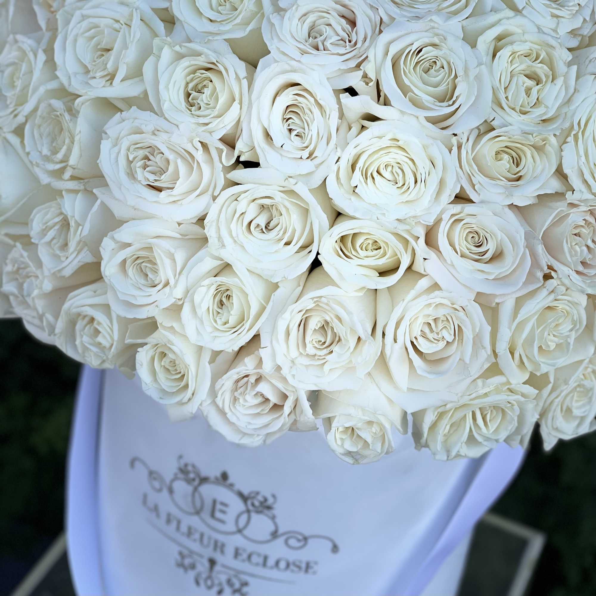 Bouquet of white roses wrapped in pale paper