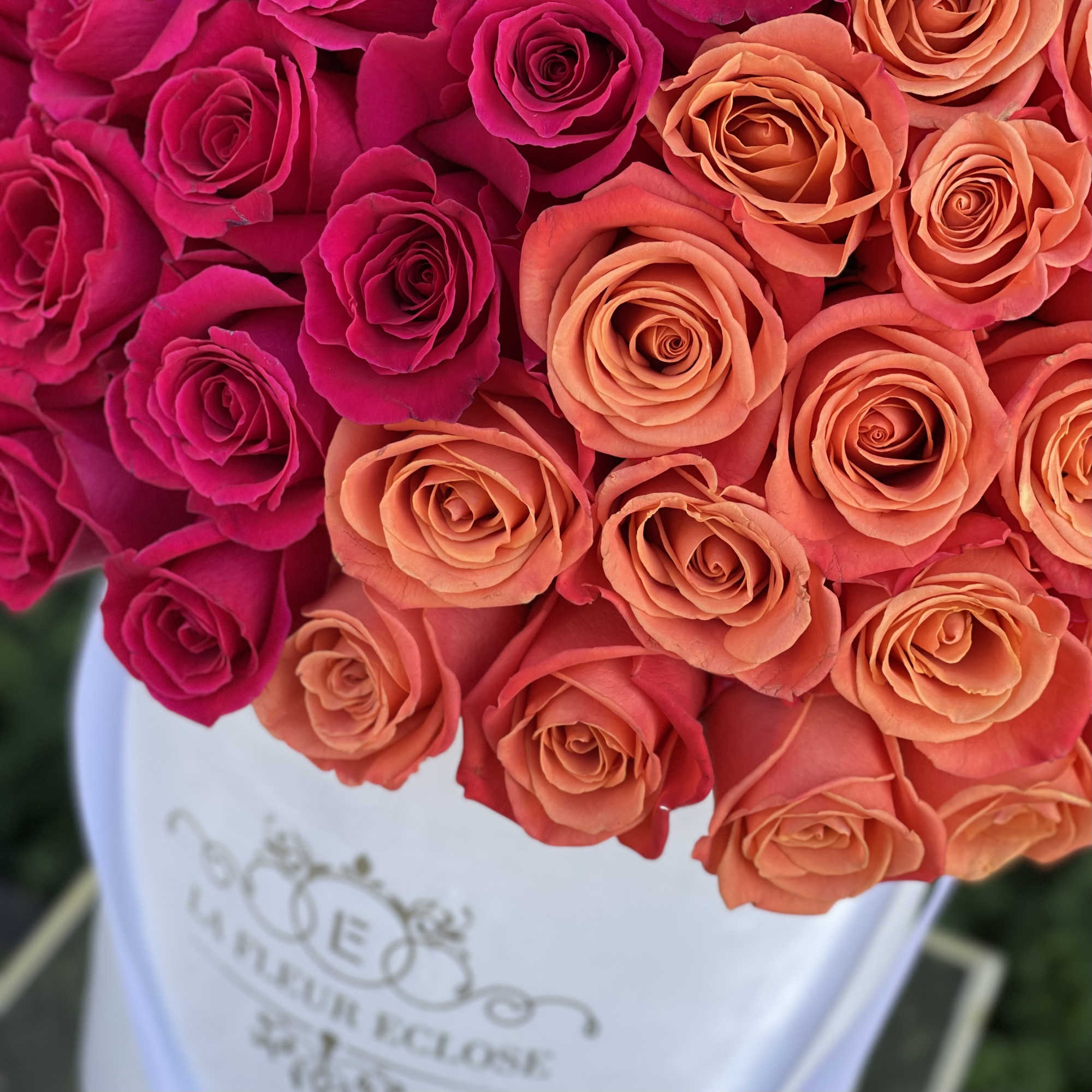 Bouquet of pink and coral roses in a white wrap