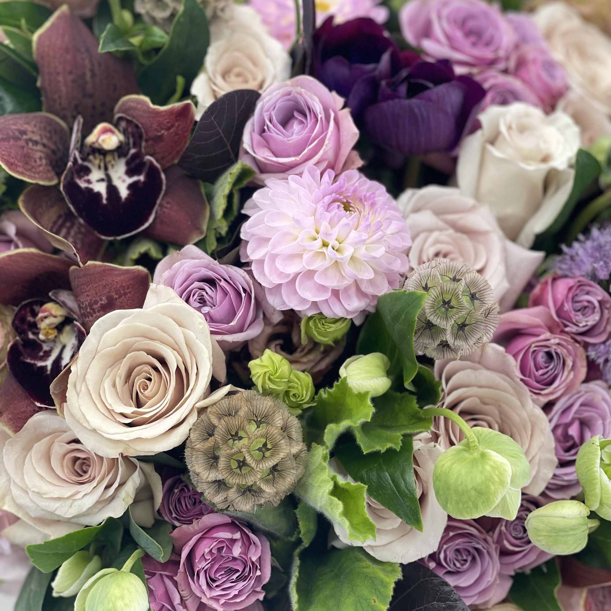 Bouquet of lavender, cream, and deep purple roses with a pale pink dahlia