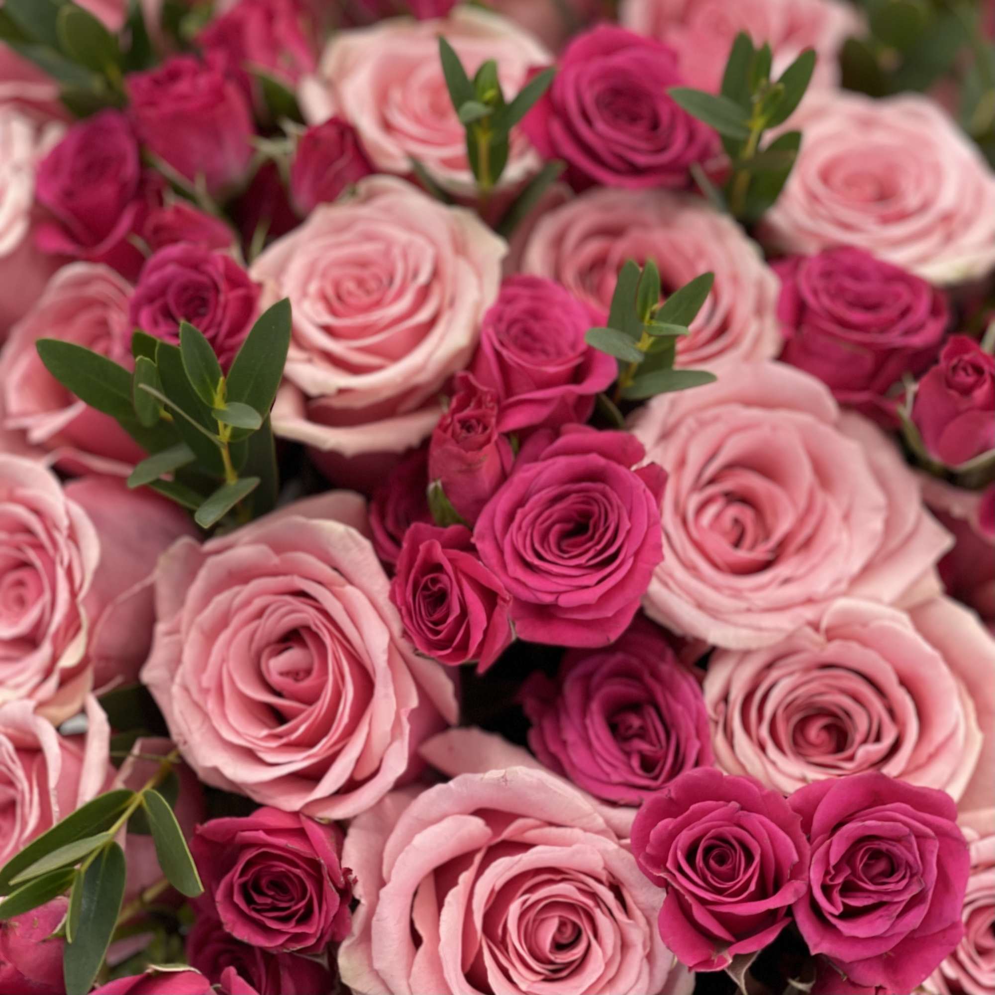 Bouquet of pink and hot pink roses with small greenery