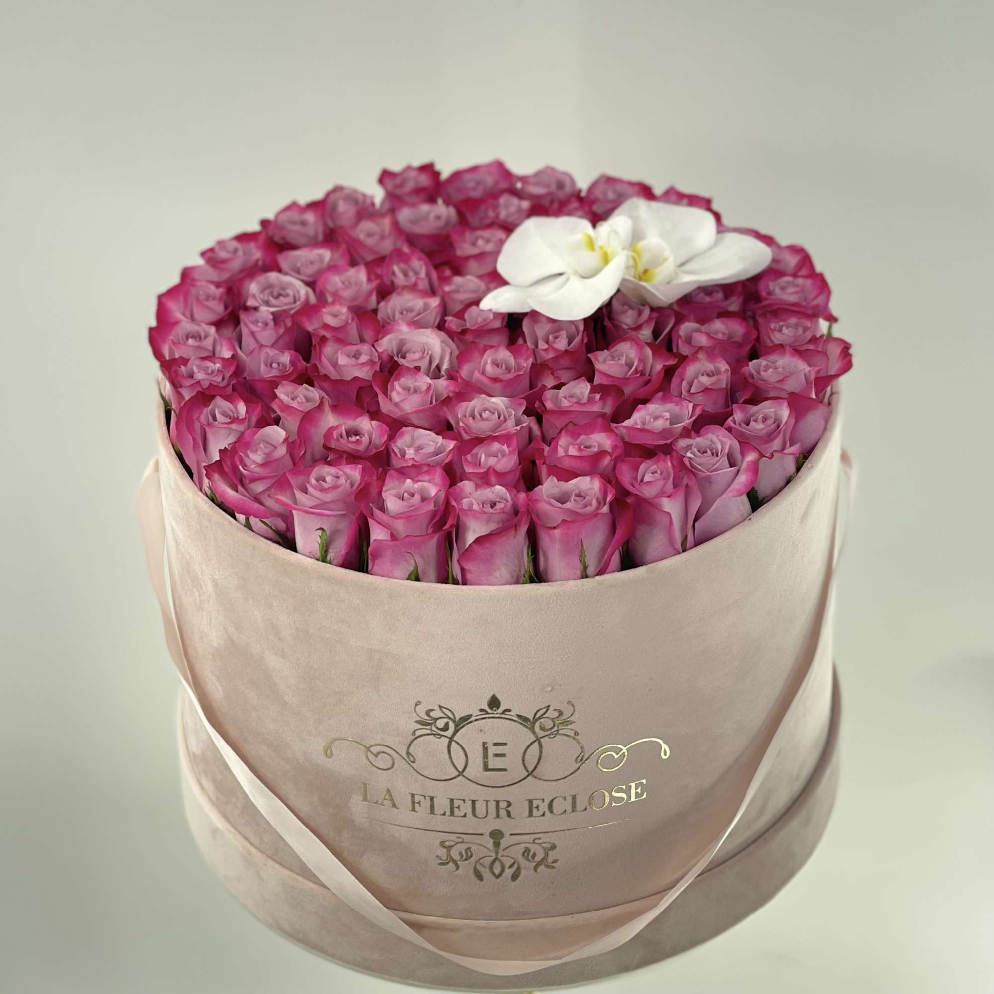 Round box of pink roses with a white orchid accent, photo 2 of 2
