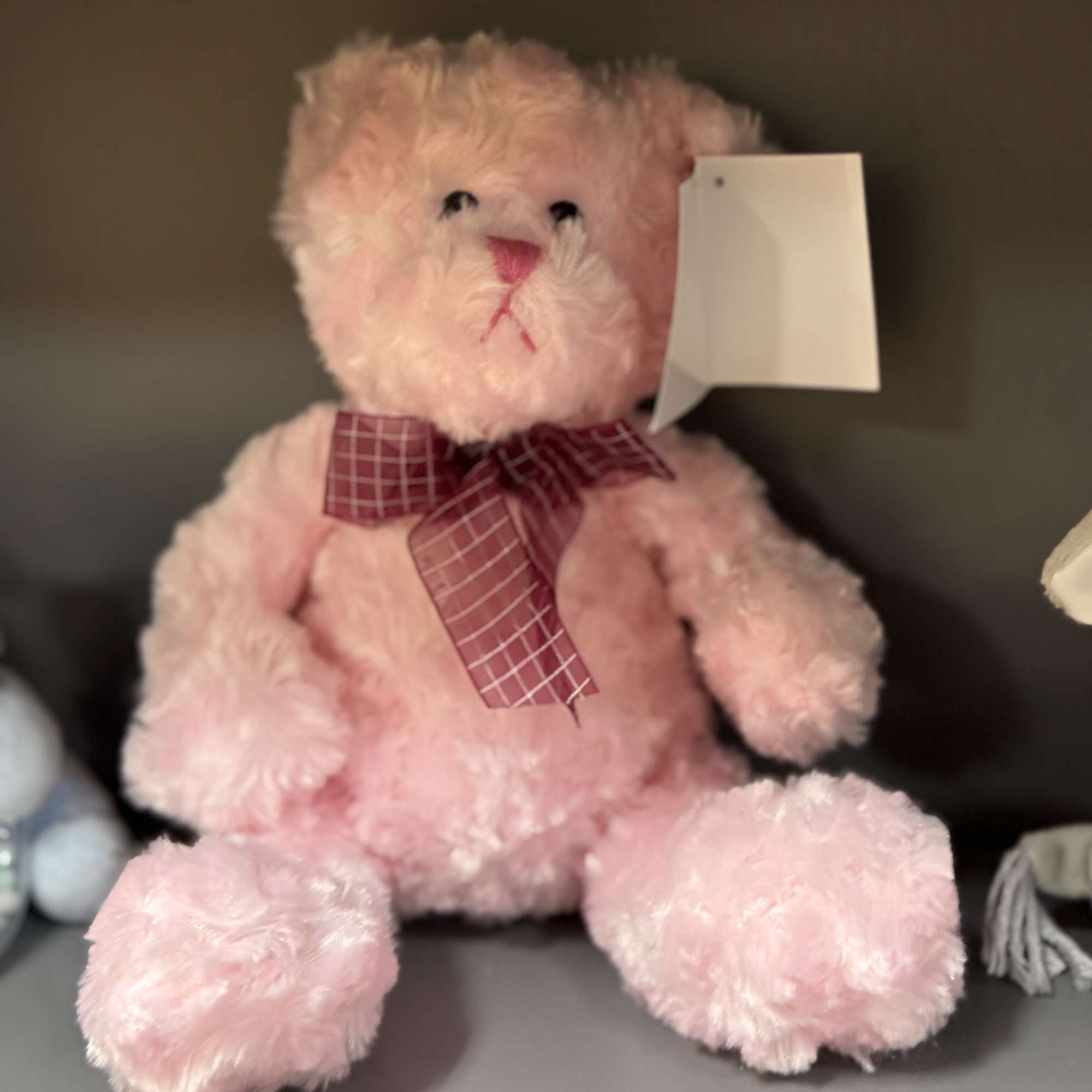 Pink teddy bear with a plaid bow and hanging tag