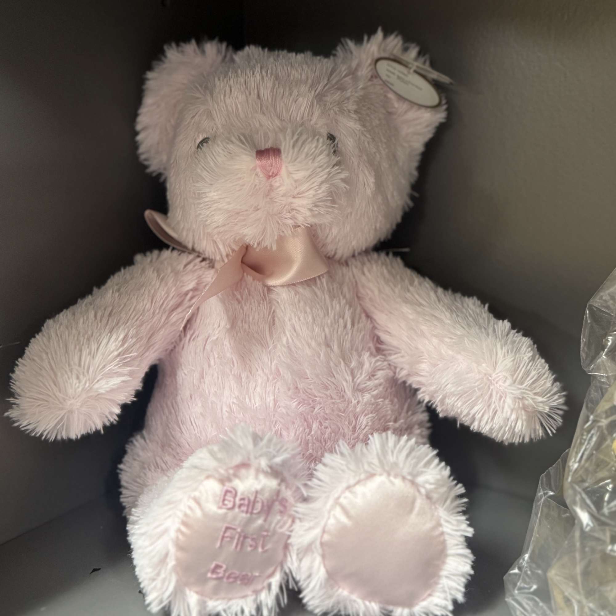 Pink plush teddy bear with a satin ribbon and "Baby's First Bear" on its foot