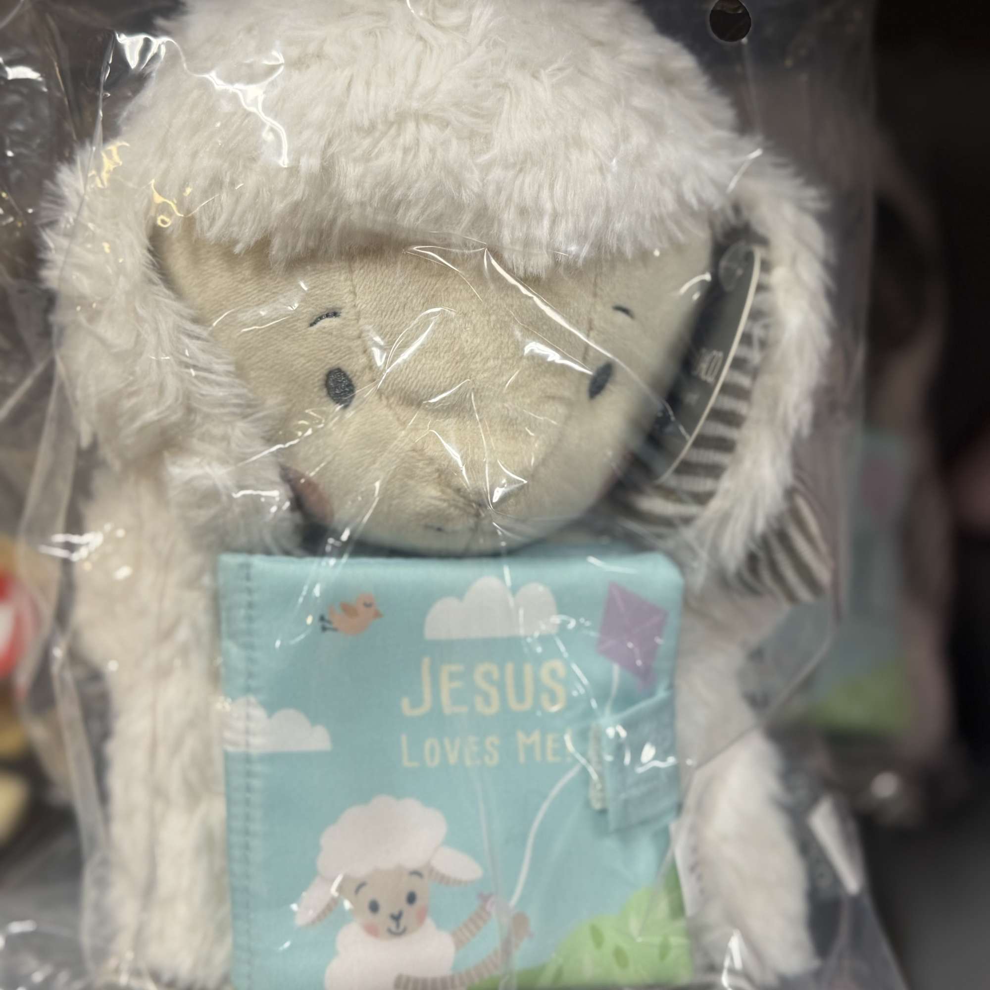 Plush lamb holding a small book in clear packaging