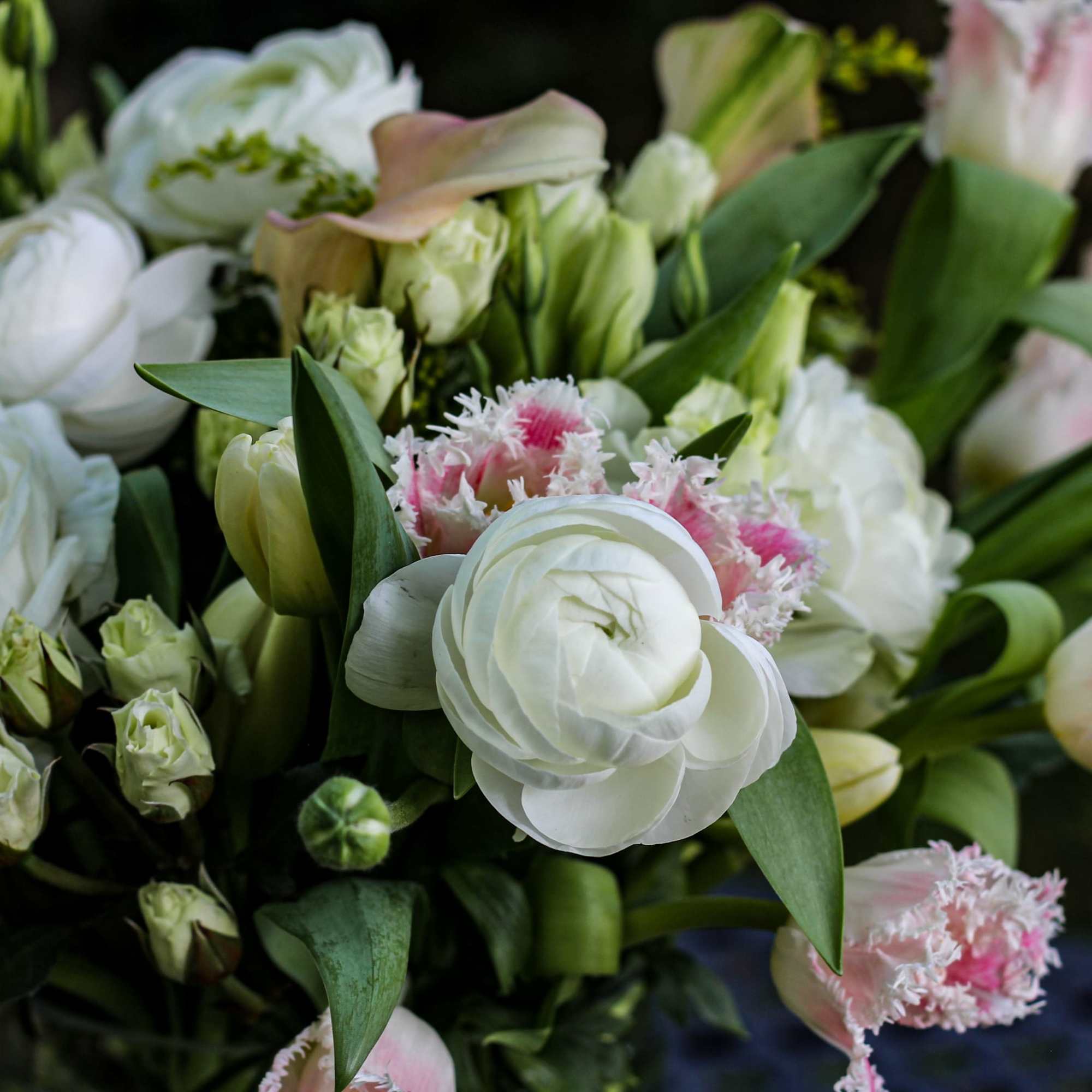 Bouquet of white and pale pink tulips with white ranunculus