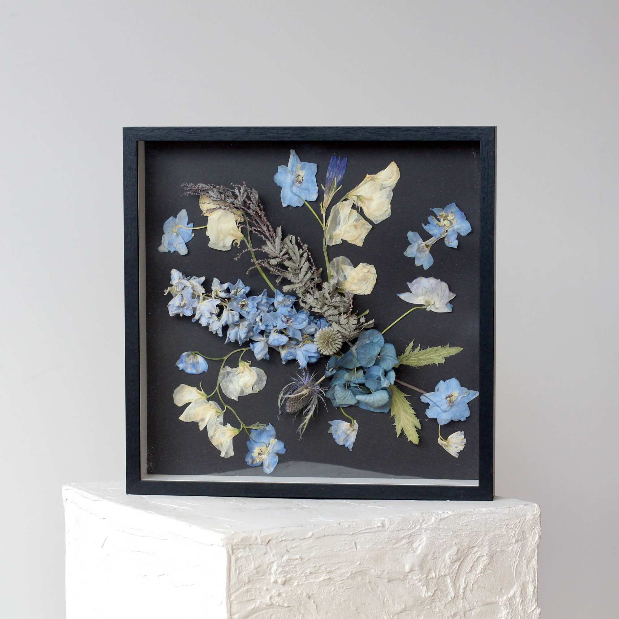 Framed pressed flower arrangement with blue and cream blossoms