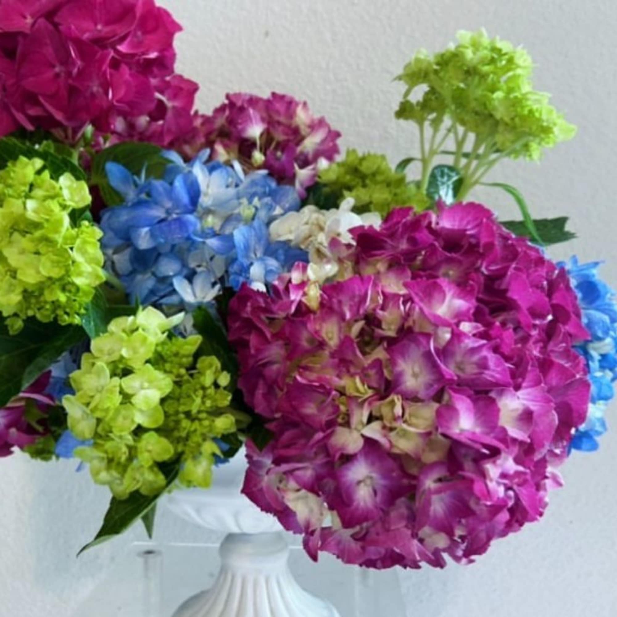 Colorful hydrangea bouquet in a white vase
