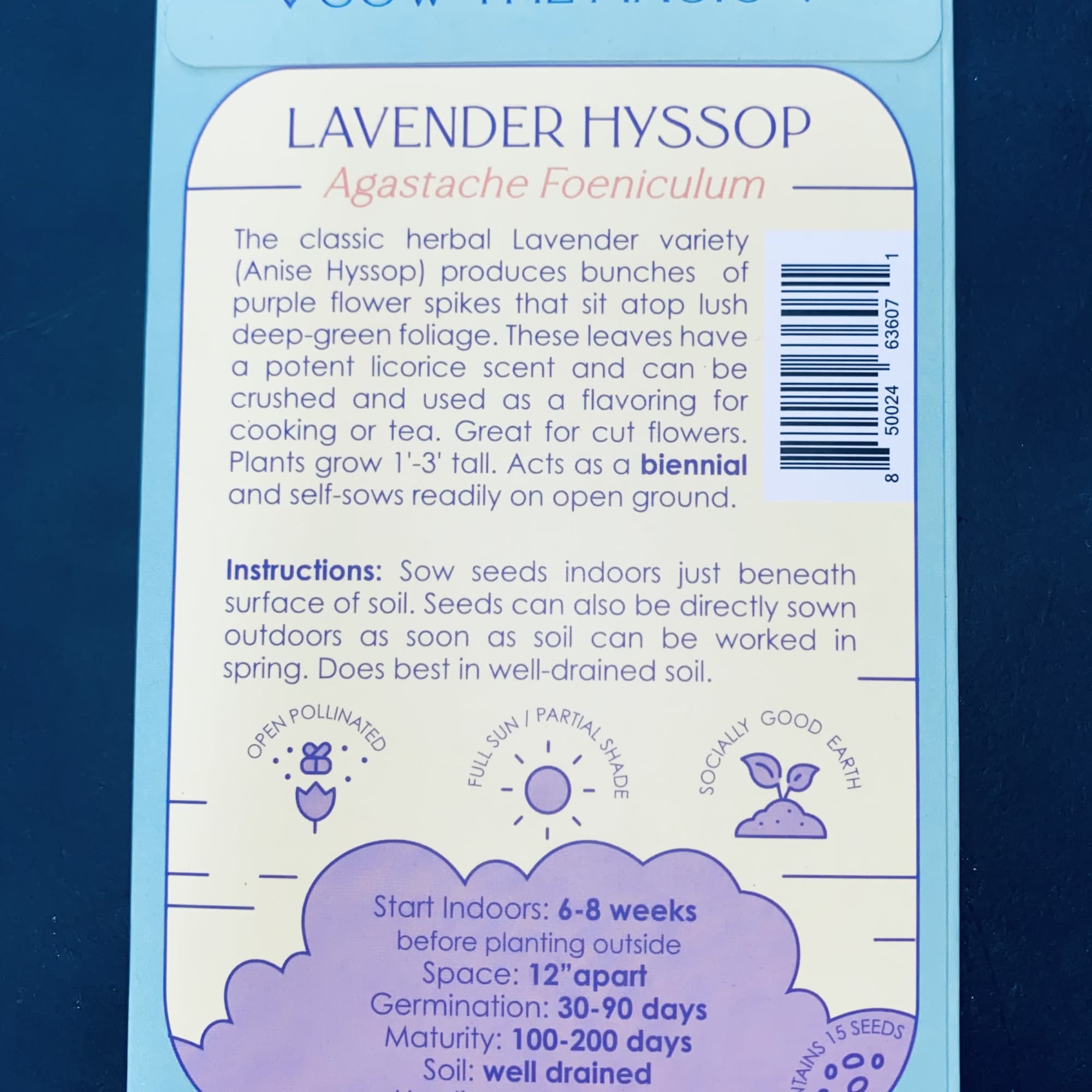 Packet of lavender hyssop seeds with blue and purple text