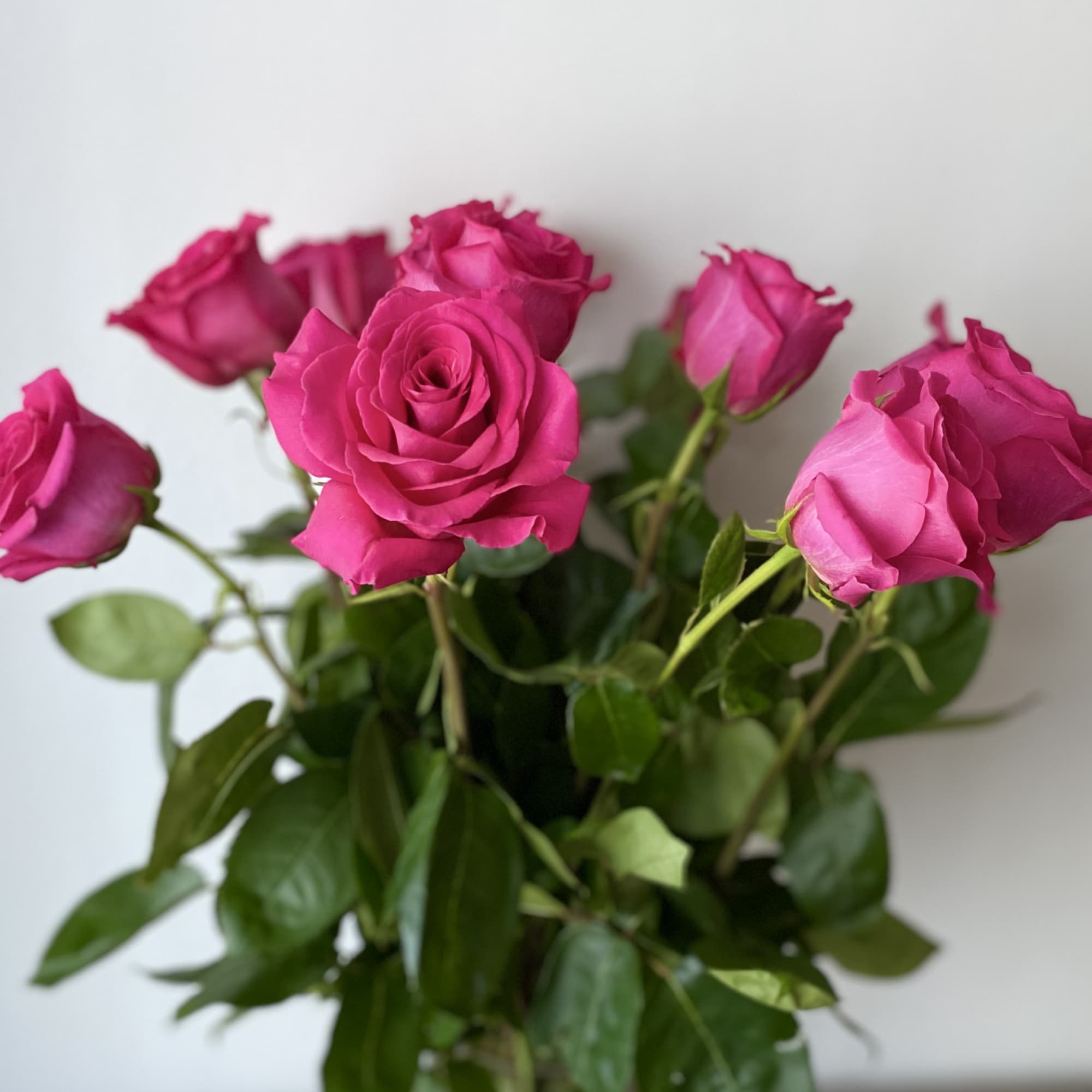 Bouquet of bright pink roses with green foliage