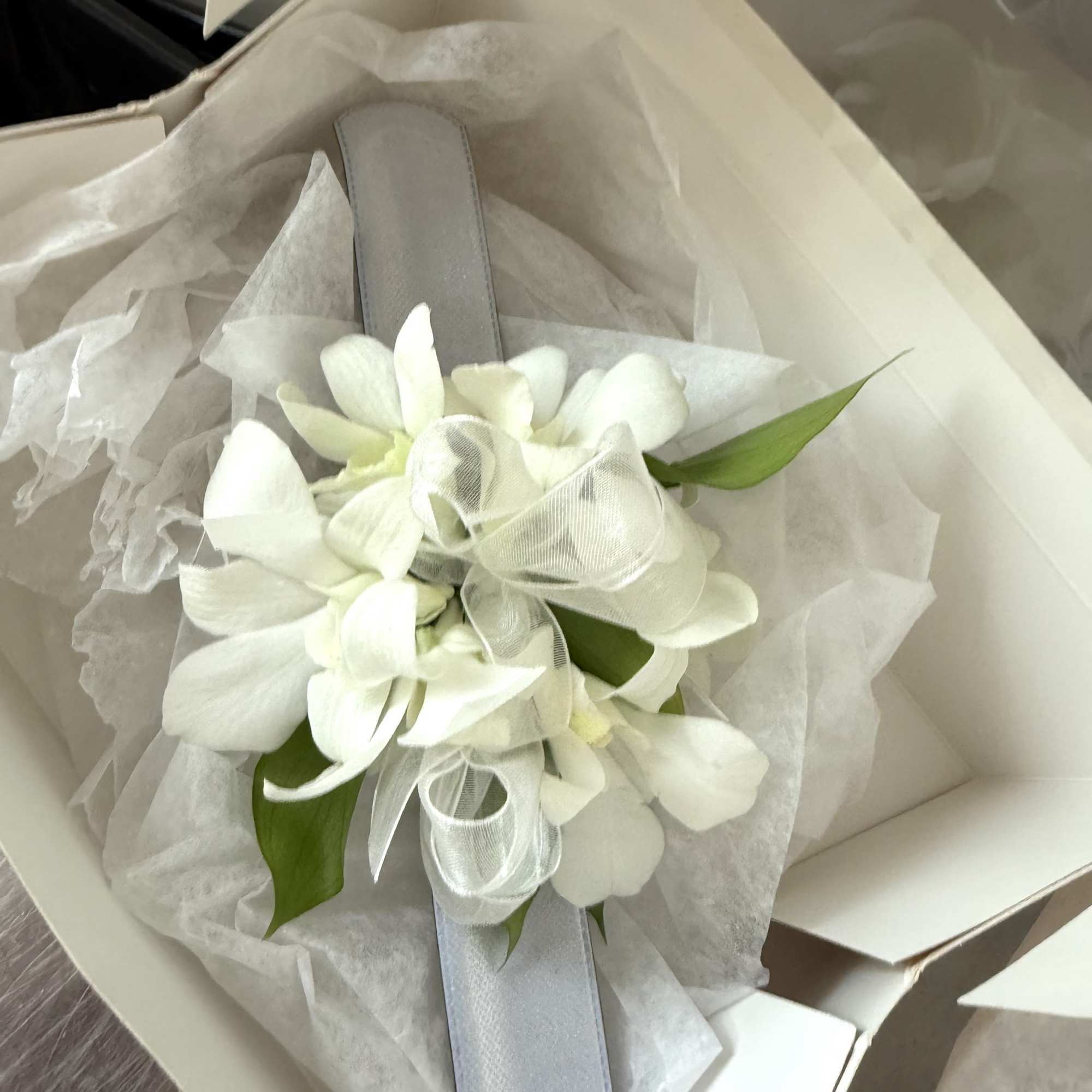 White orchid corsage with a silver ribbon in a gift box