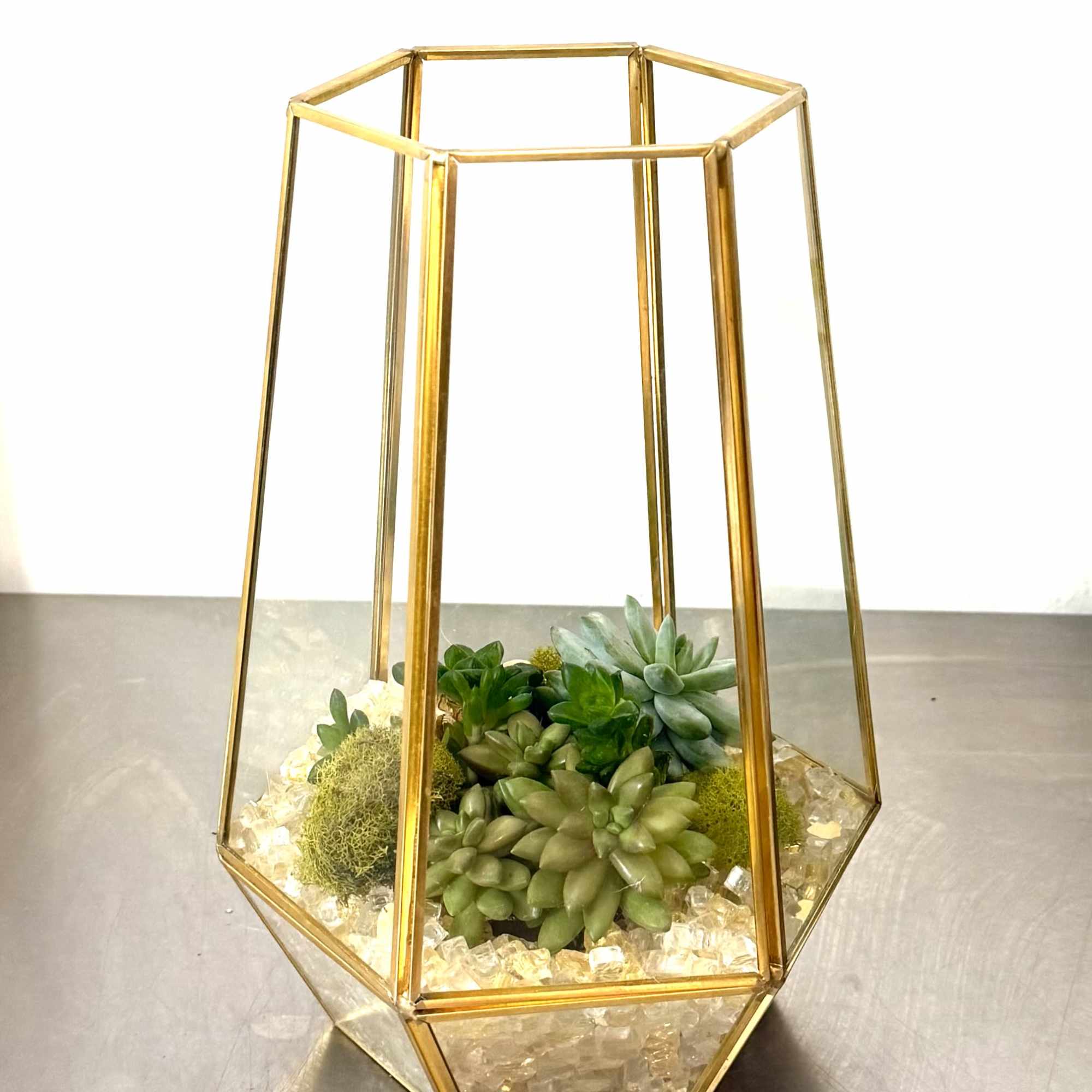 Succulents arranged in a gold geometric terrarium with clear stones
