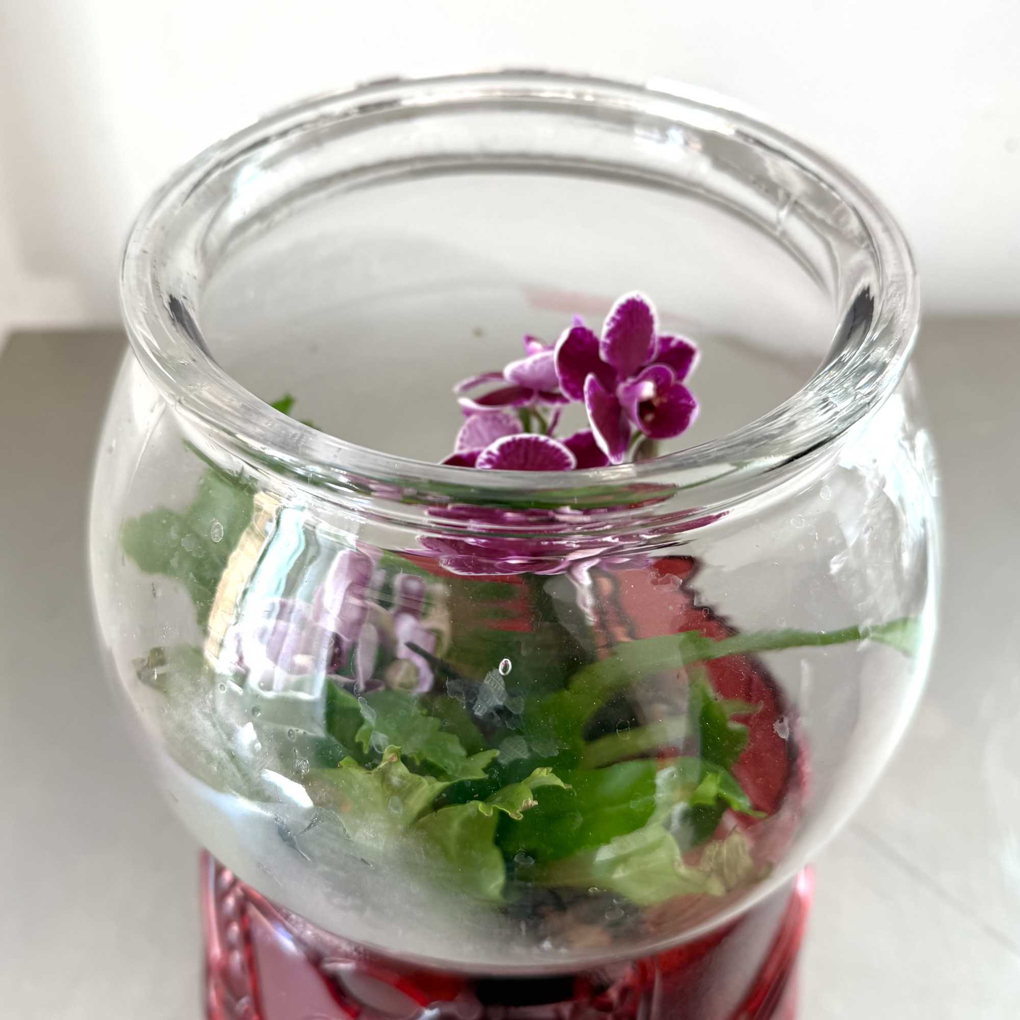 Welcome a touch of charm and nostalgia into your home with this