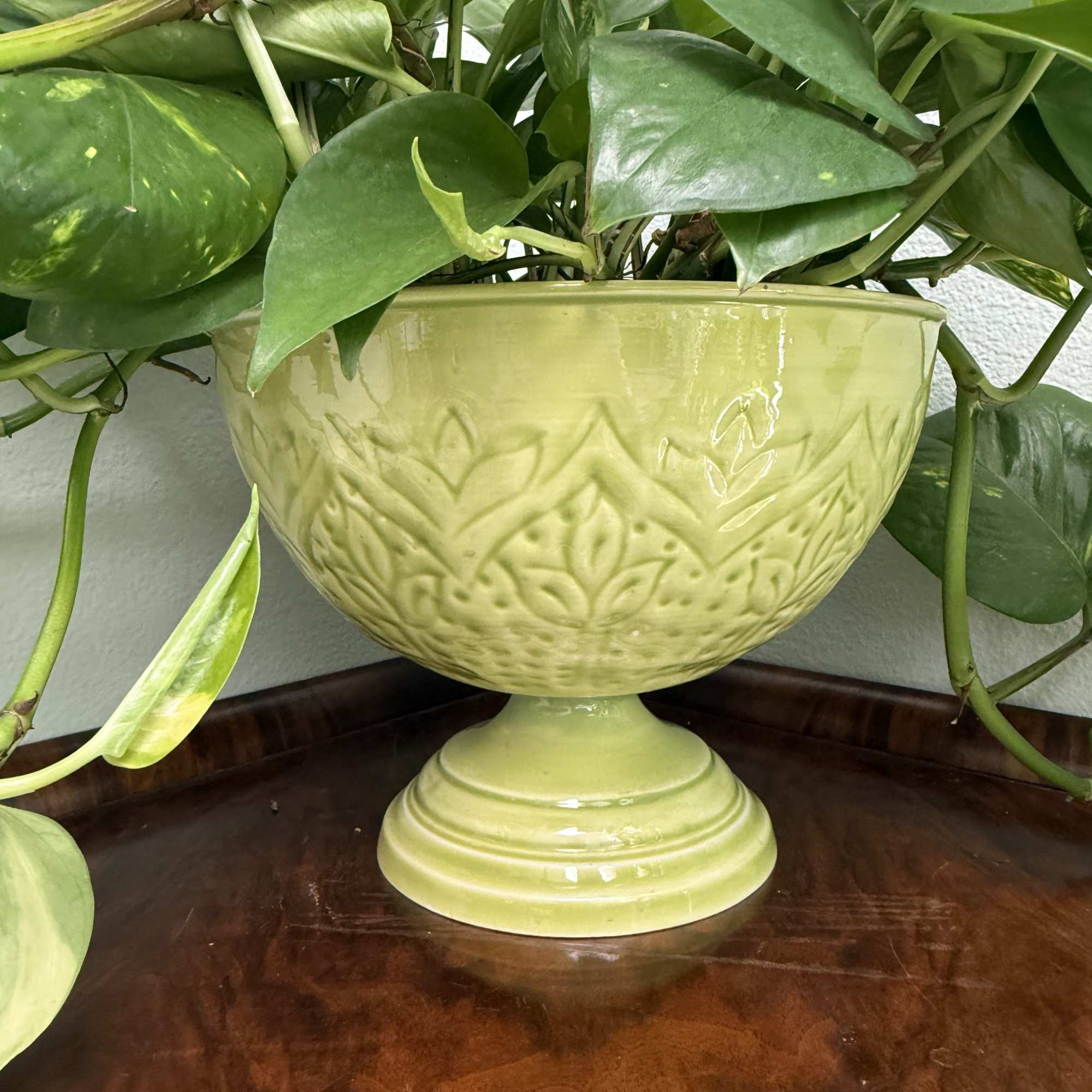 This gorgeous Golden Pothos is set in a vintage, lime green, enameled, photo 2 of 2