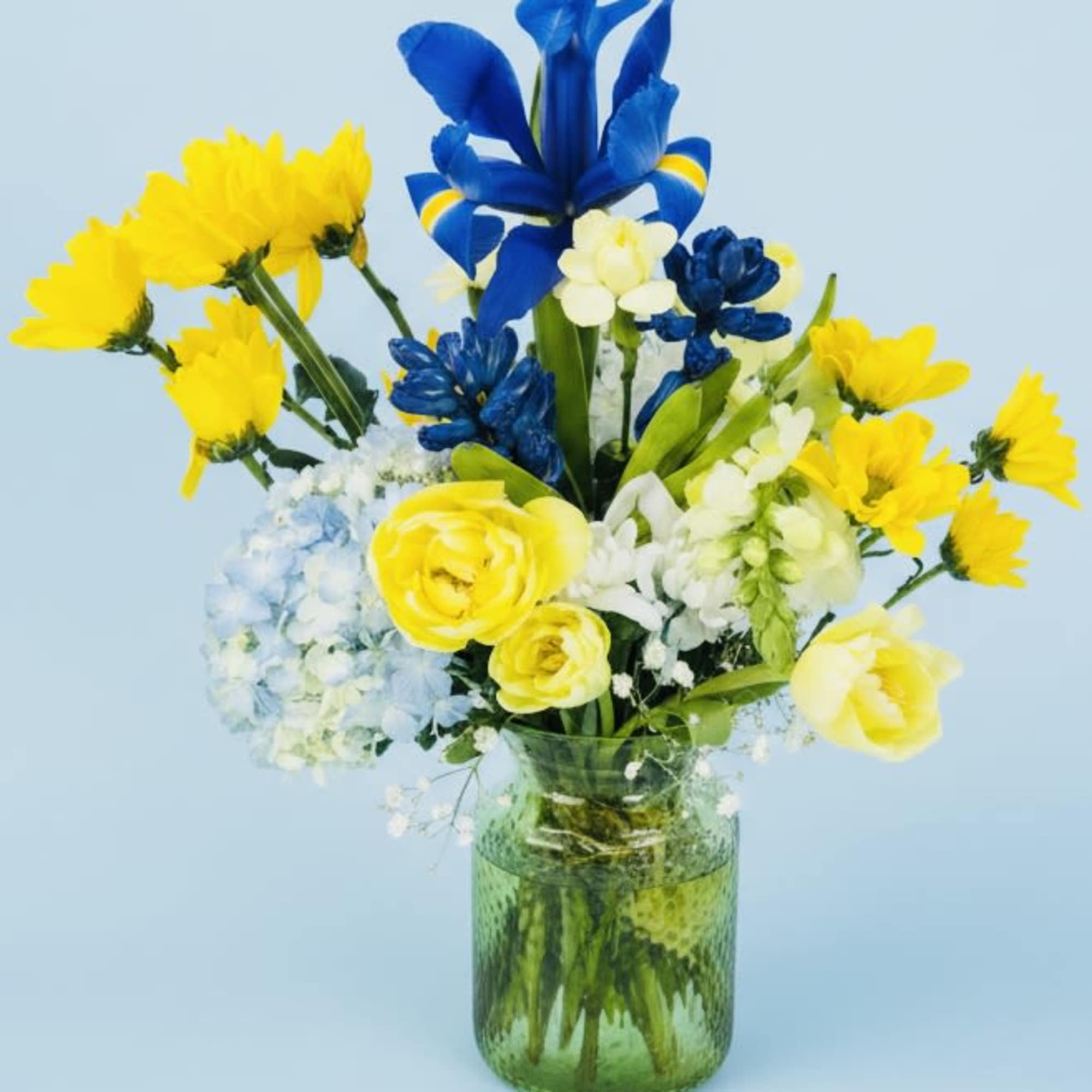 Bright, sunlit yellow tulip blooms ( seasonally made with rinanculus  or
