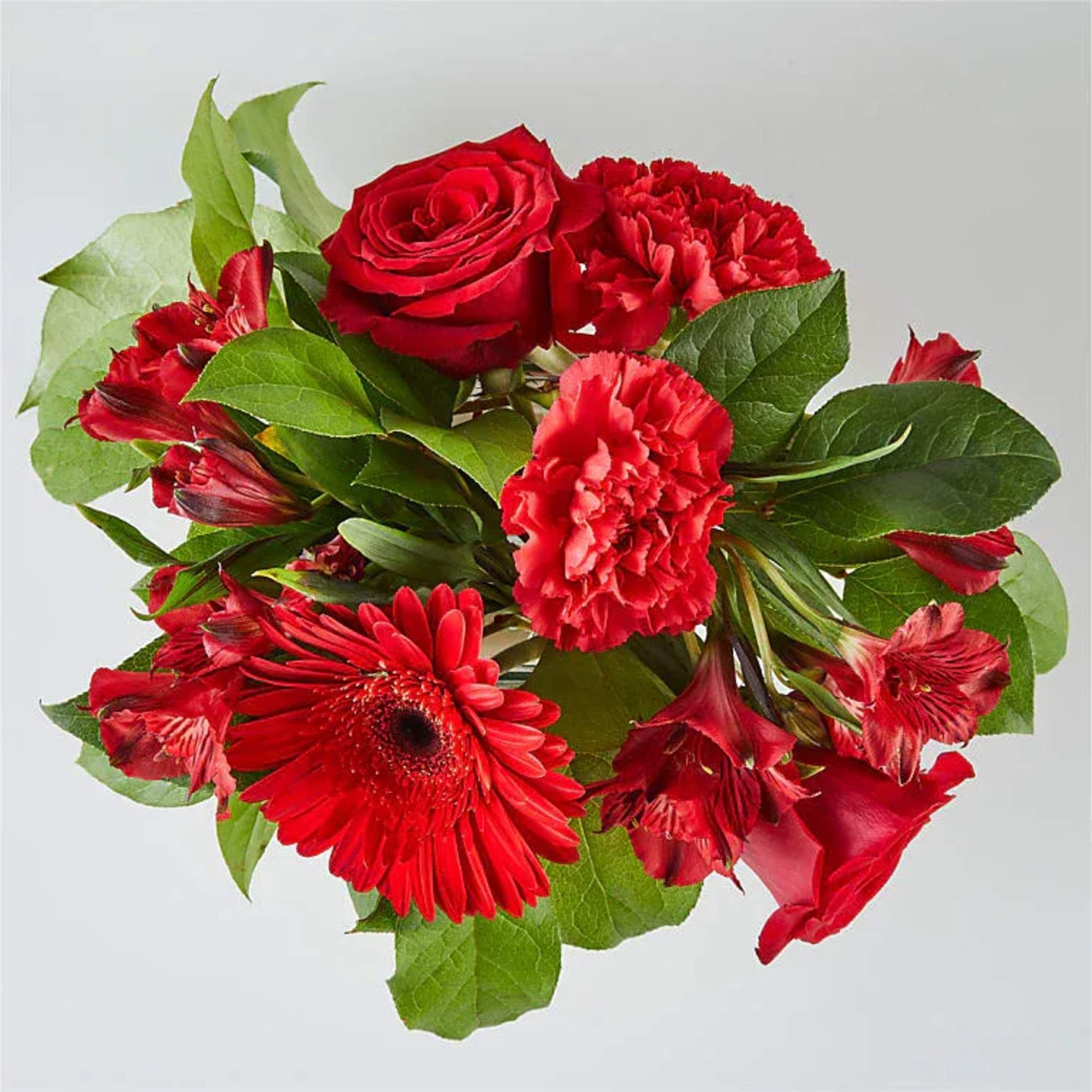 Red roses, carnations, and gerbera daisies in a hand-tied bouquet