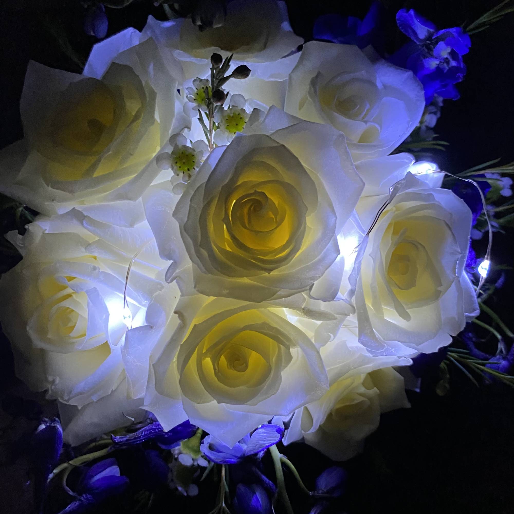 White roses lit with blue-purple lights in a dark bouquet