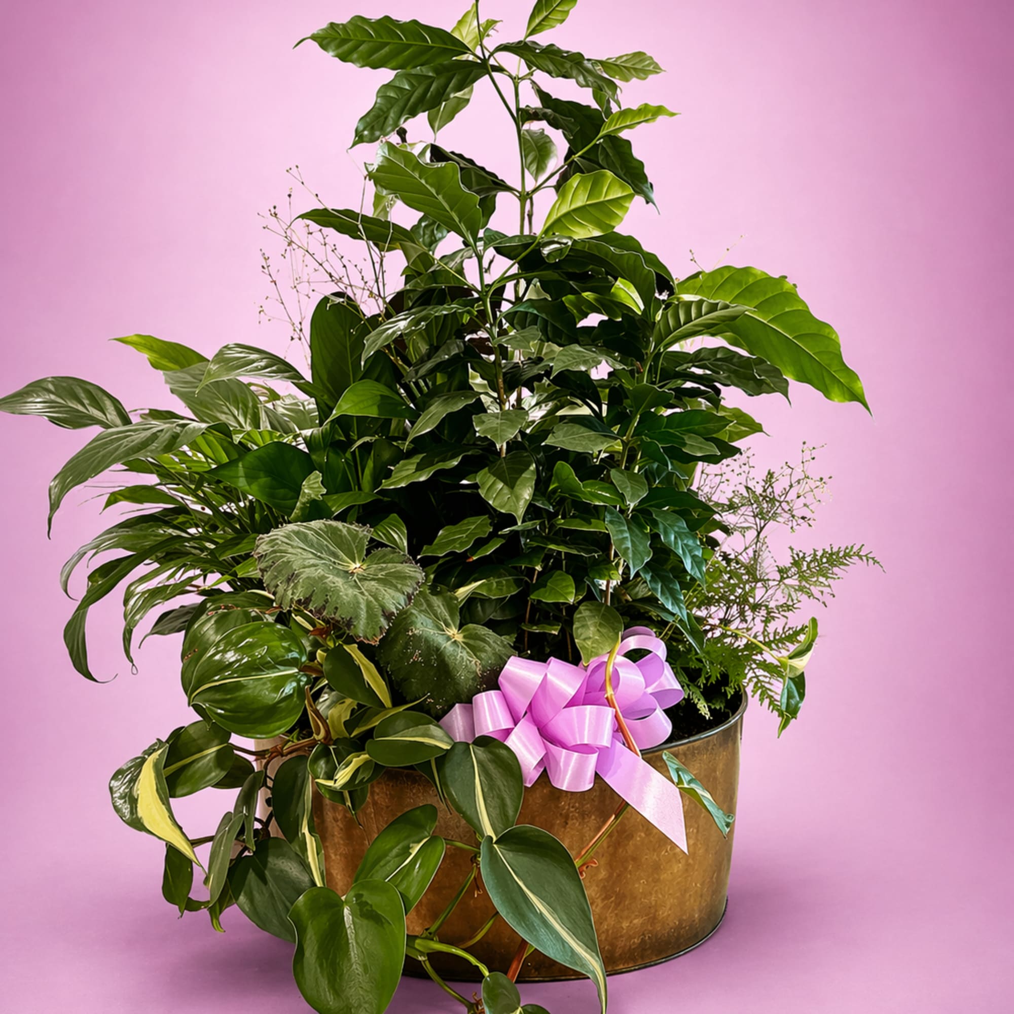 A variety of green and flowering plants in a planter for indoor