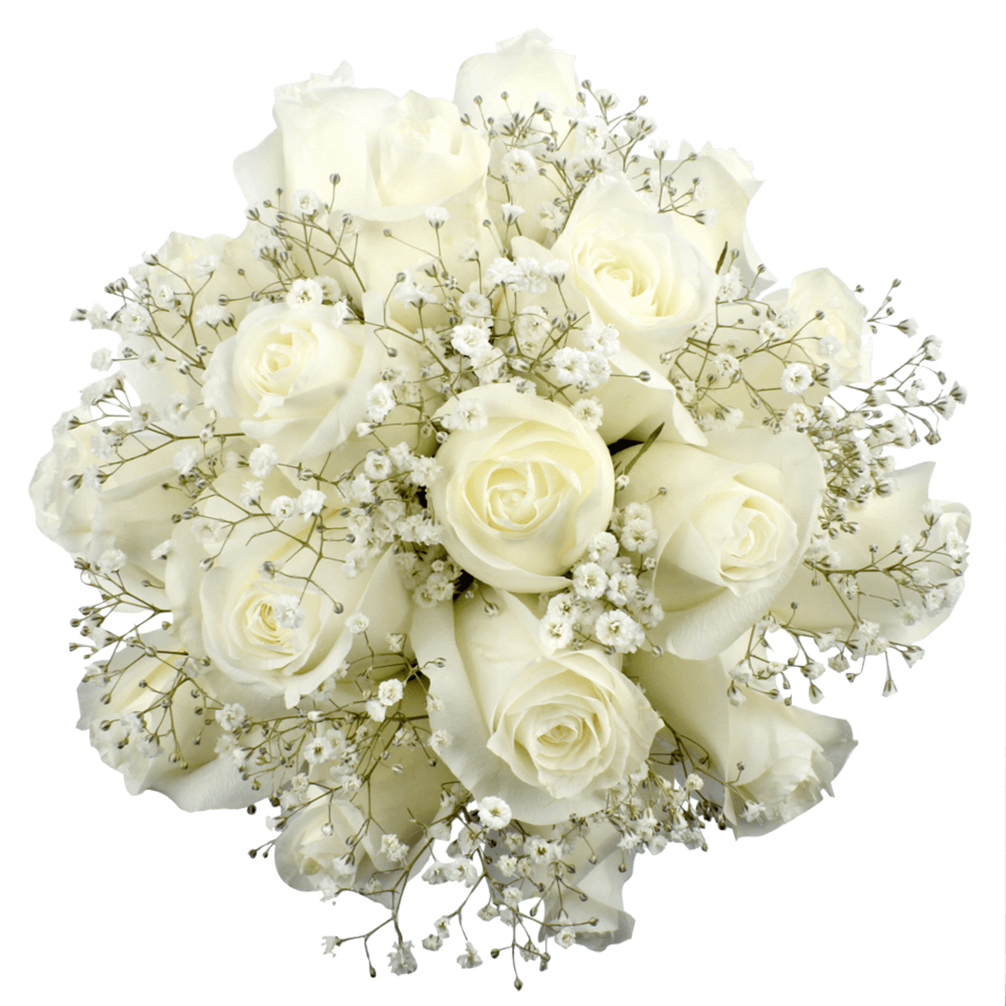 White rose bouquet with baby's breath