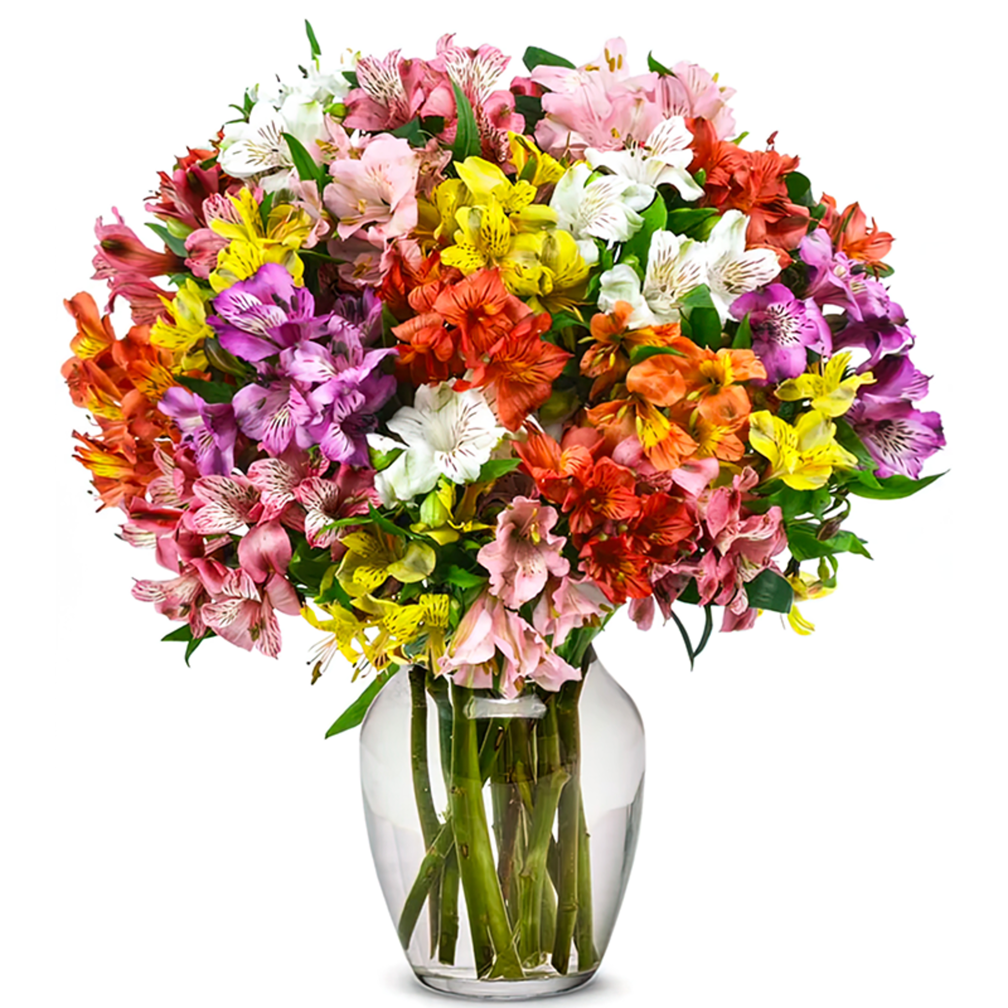 Colorful mixed bouquet of alstroemeria in a clear glass vase