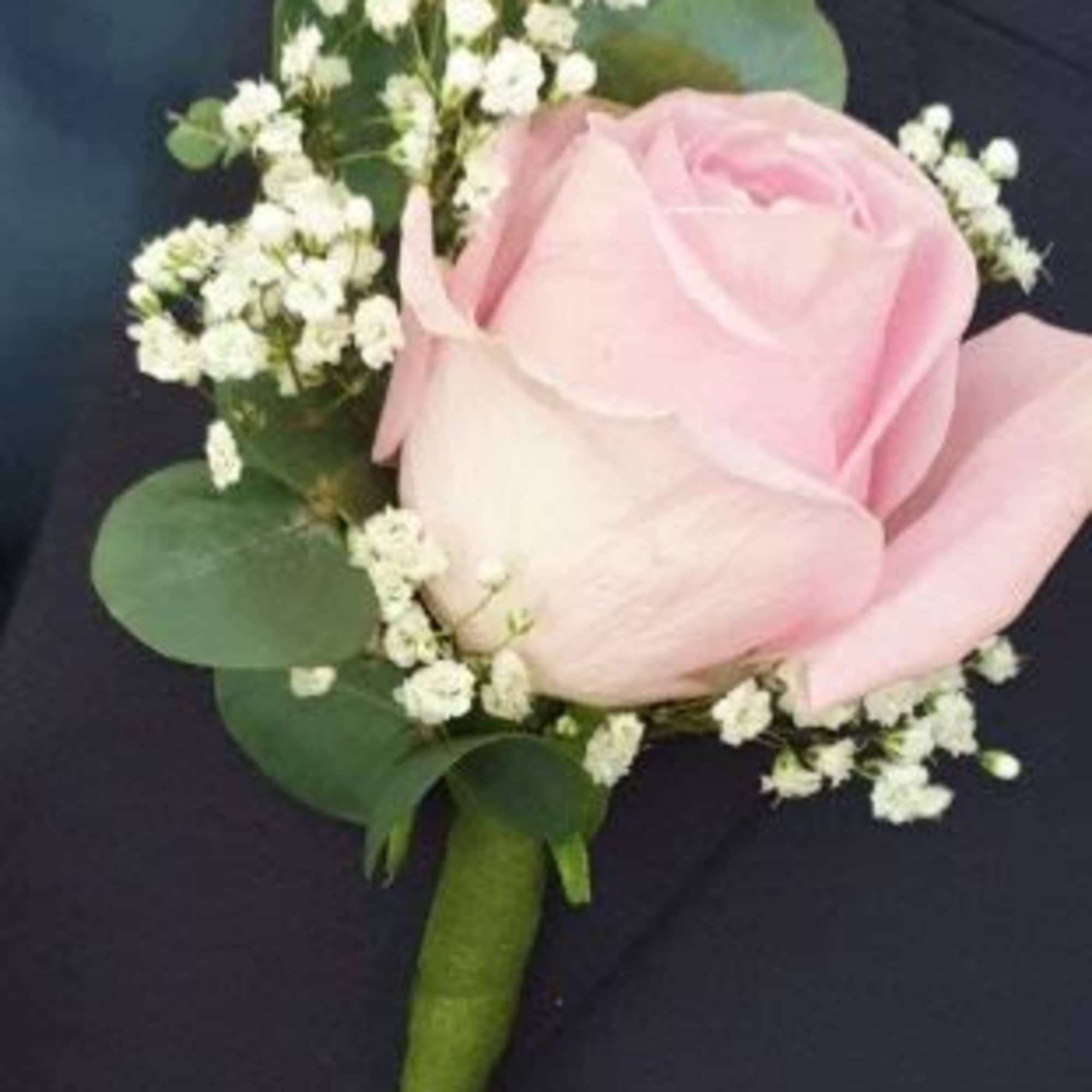 Choose your favorite! Traditional, Classic &amp; Custom.

Please make a note of your, photo 2 of 3