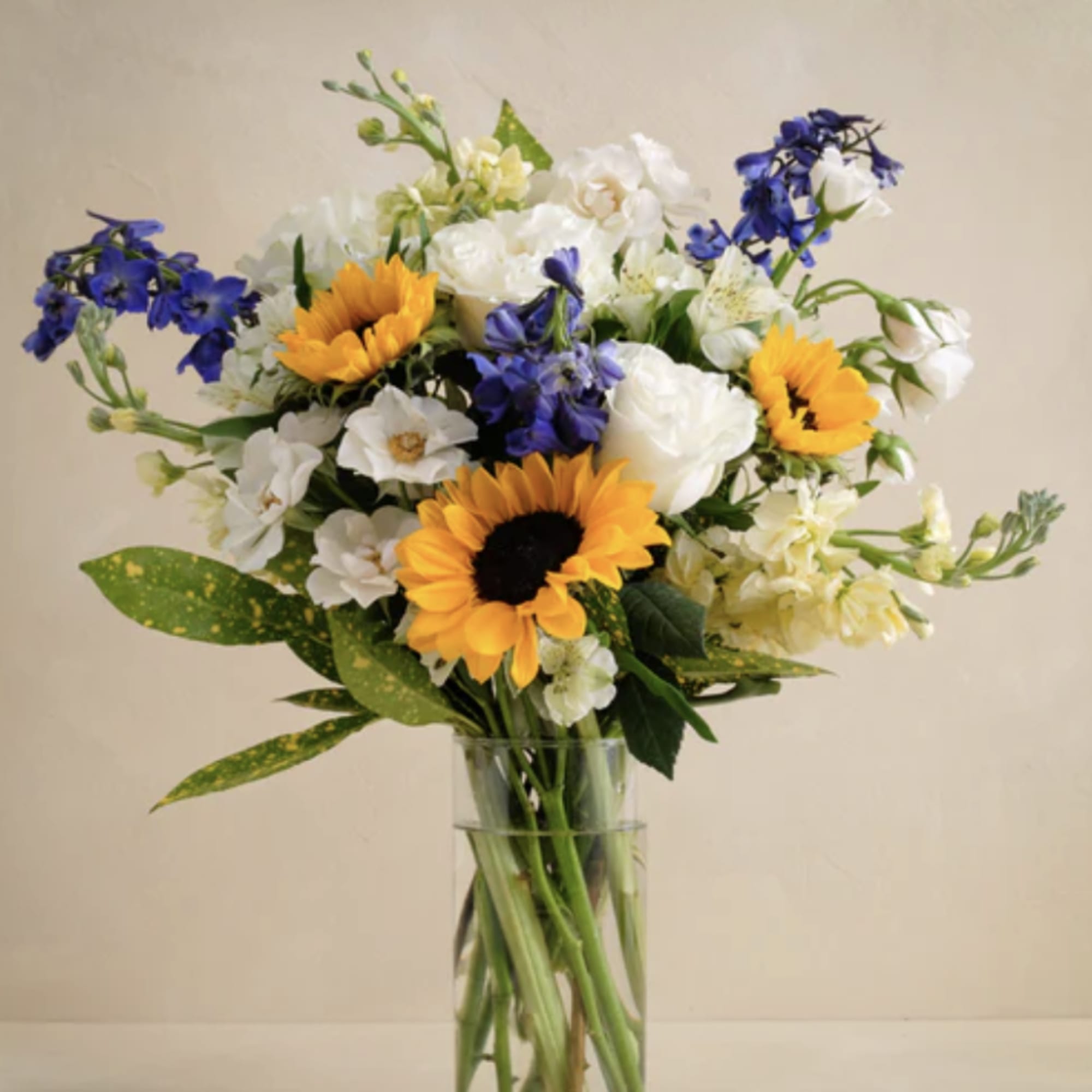 Fun mix of Sunflowers, Blue Delphinium, and White Roses to show some
