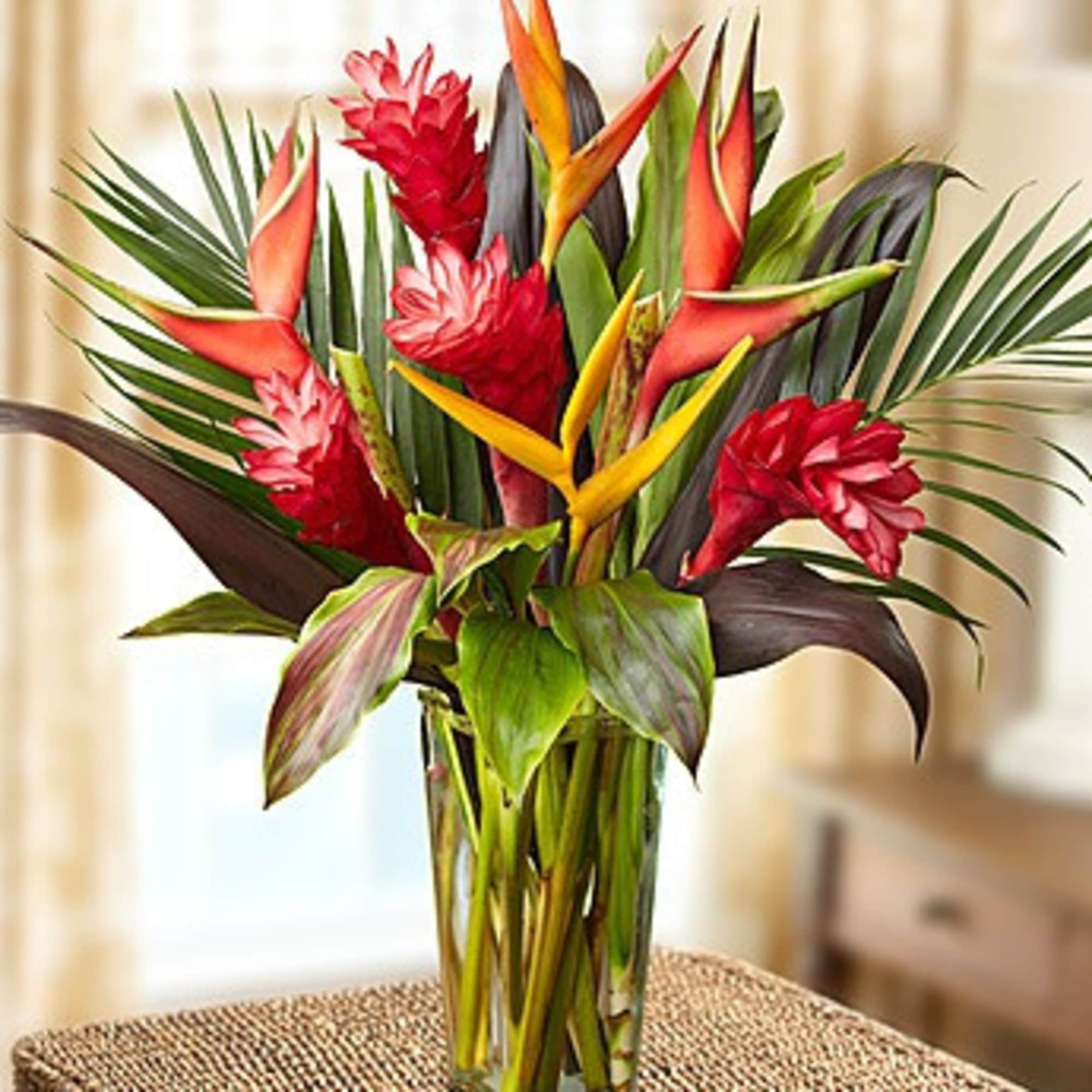 Heliconia, ginger and psittacorum combine to make you feel like you are