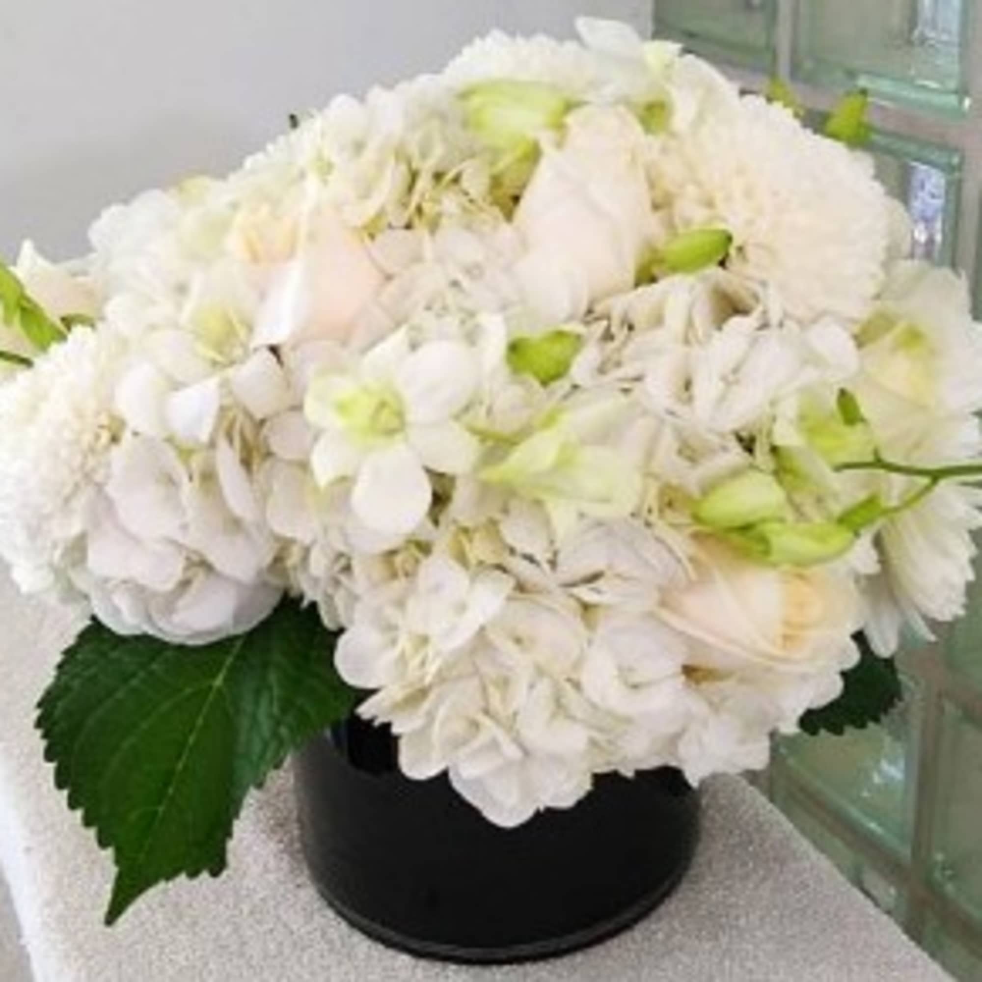 White floral arrangement in a black vase with large green leaves