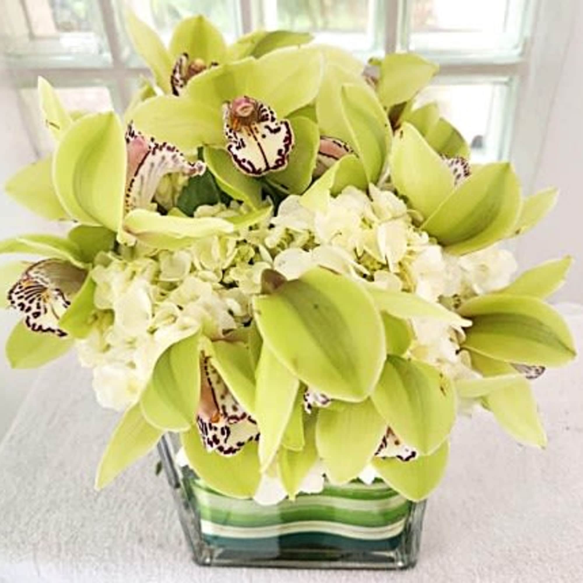 Green orchids and white hydrangeas in a striped glass vase