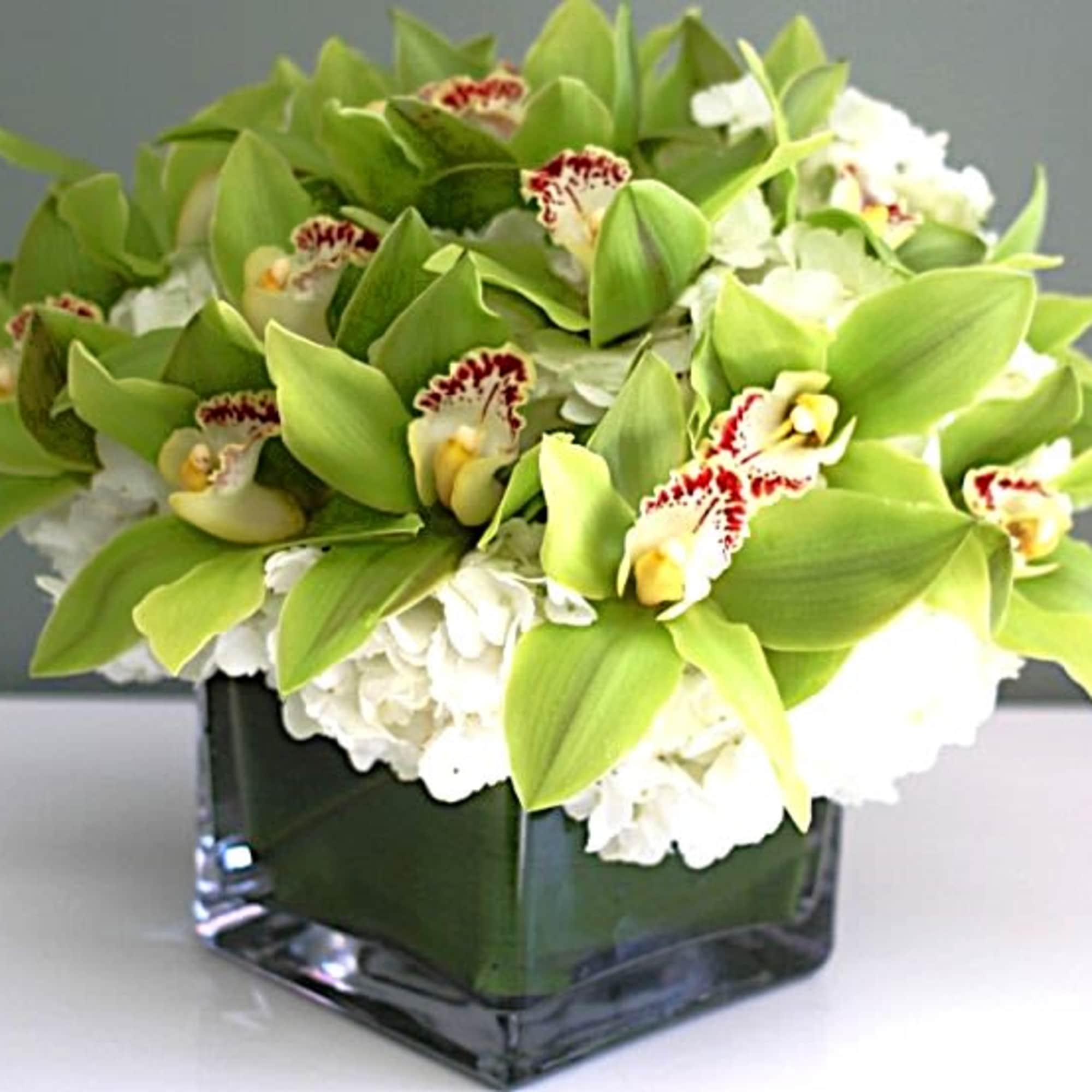 Green and white orchid arrangement in a square glass vase