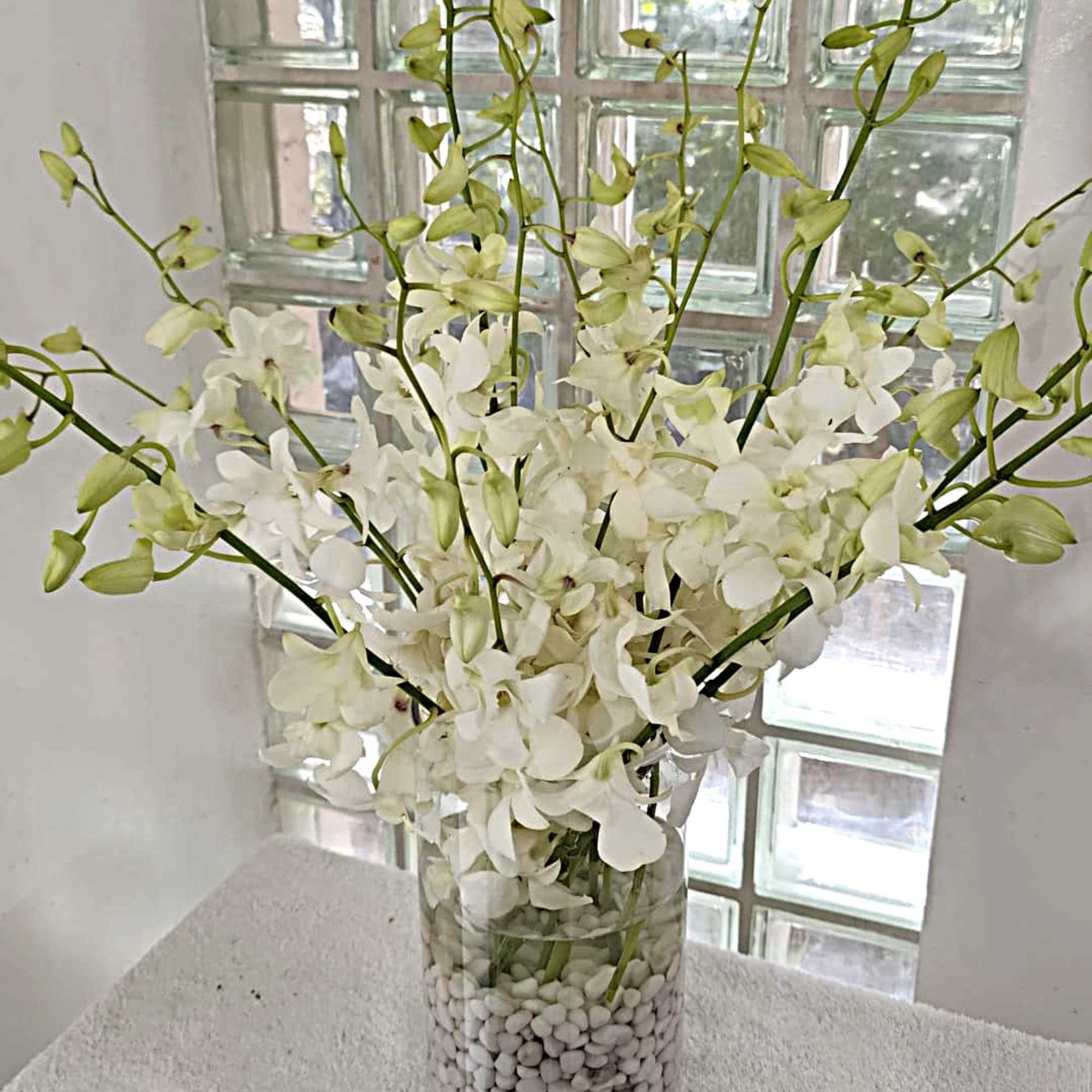 A graceful cascade of white Phalaenopsis and Dendrobium orchids creates a serene