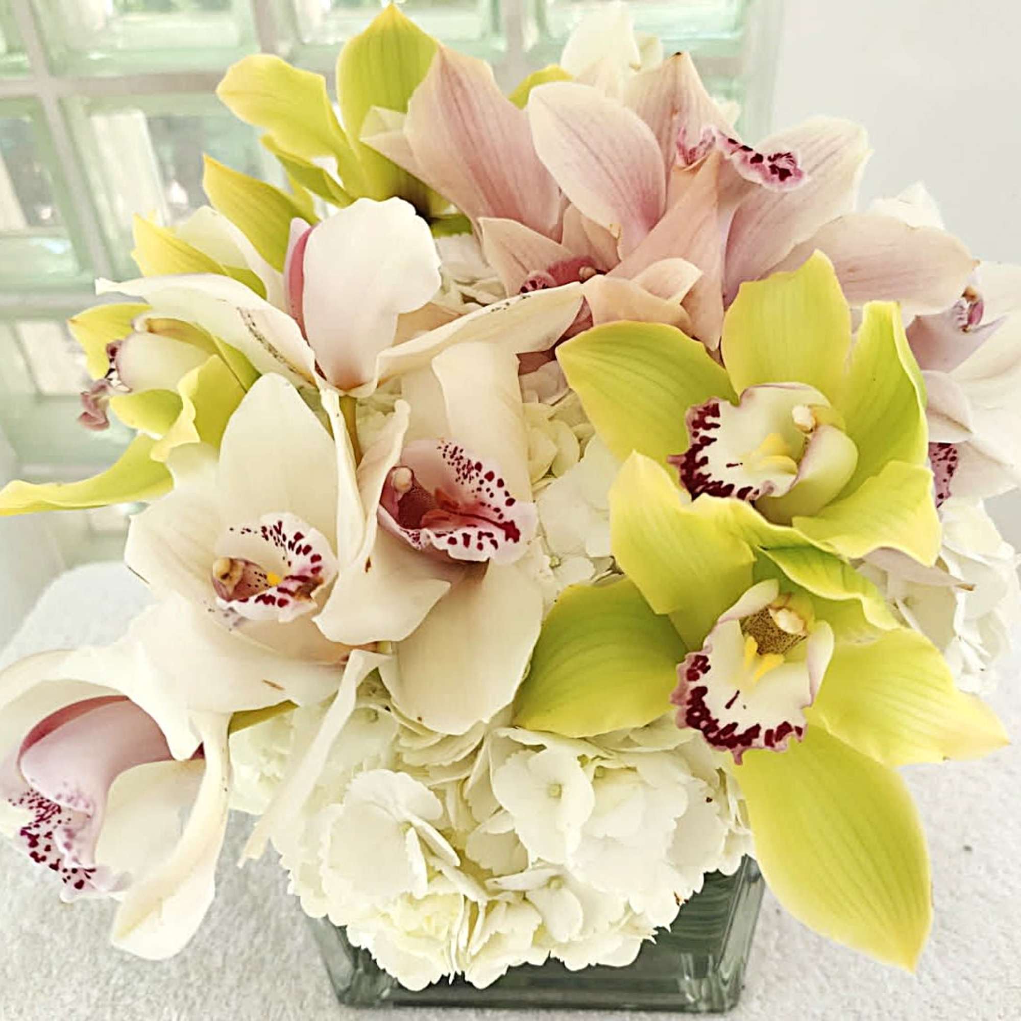 White Hydrangea's accompanied by green Cymbidium Orchid flowers in a low lying