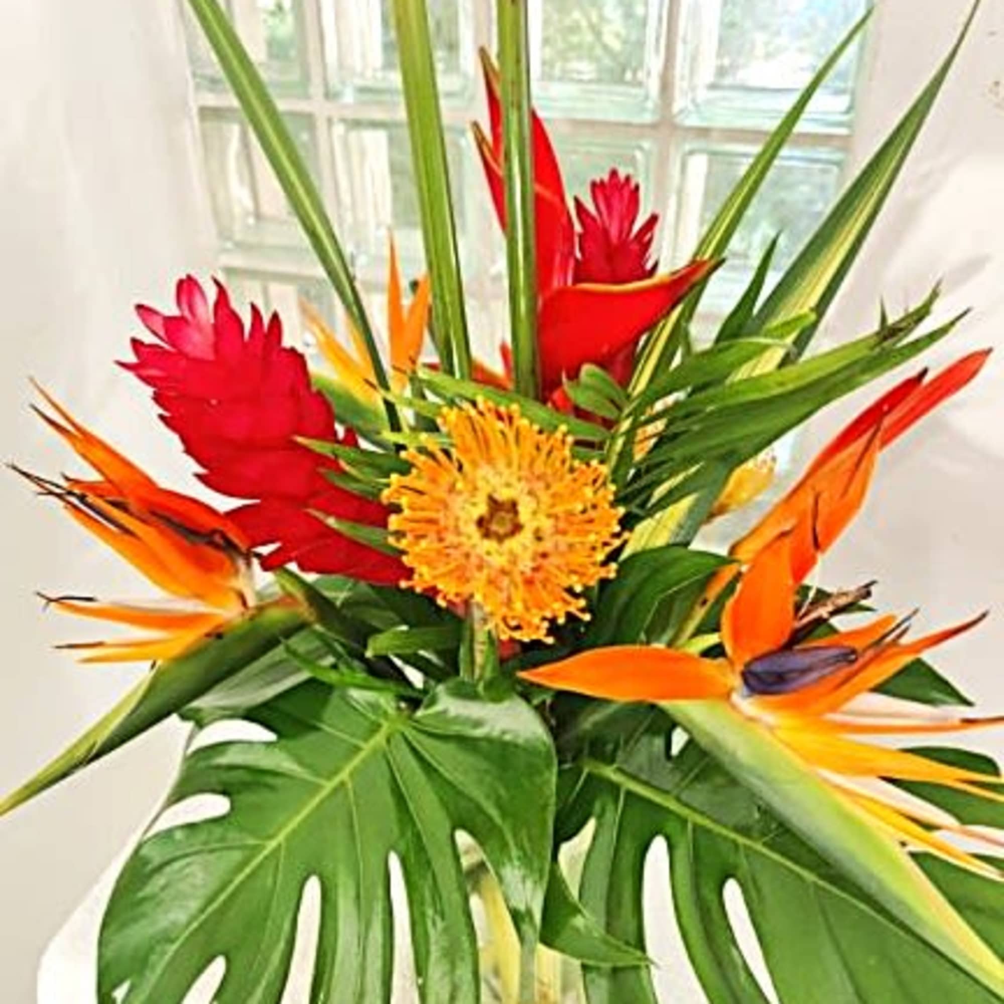 Heliconia, ginger and psittacorum combine to make you feel like you are