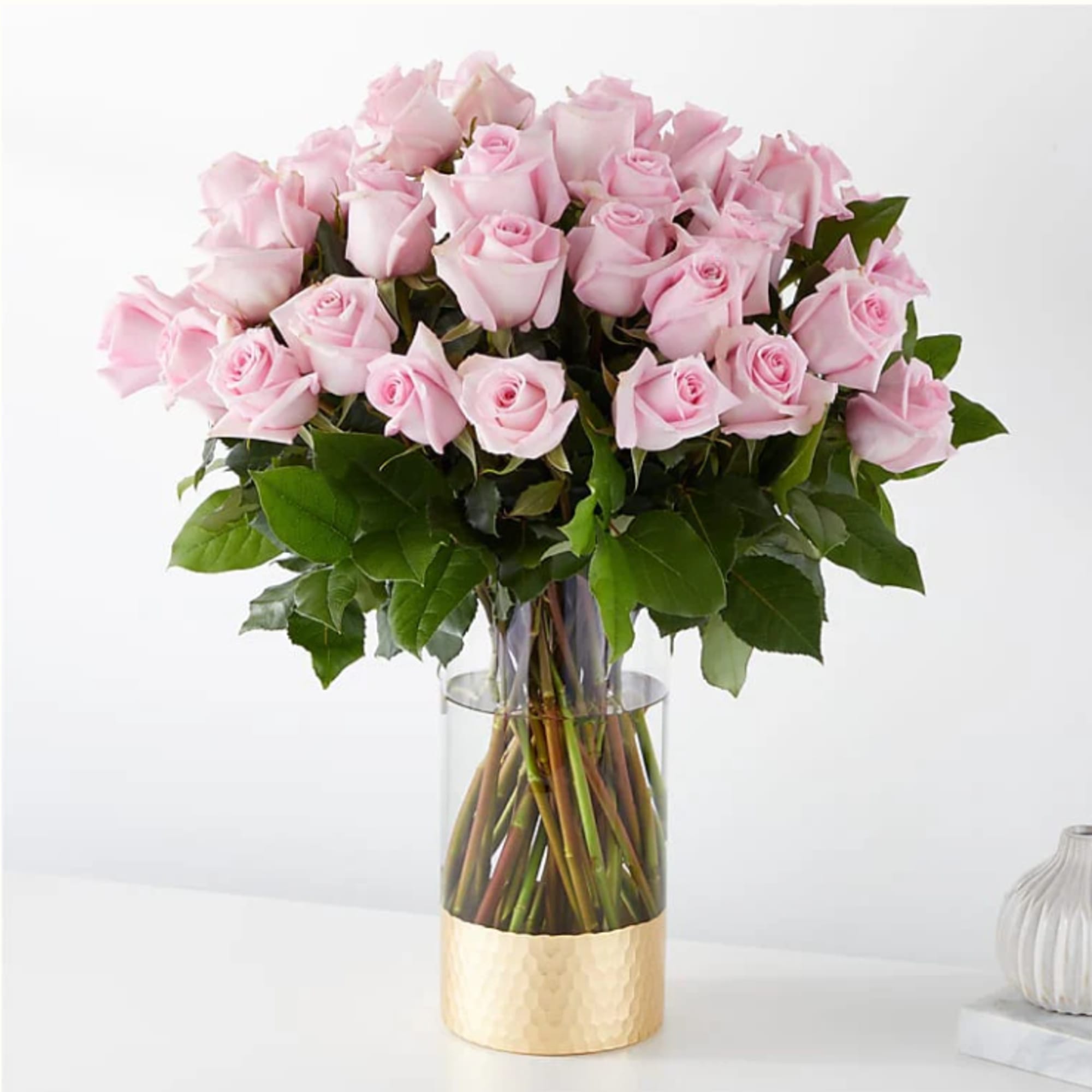 The picture perfect petals of pink roses gracefully unfold, showcasing their timeless