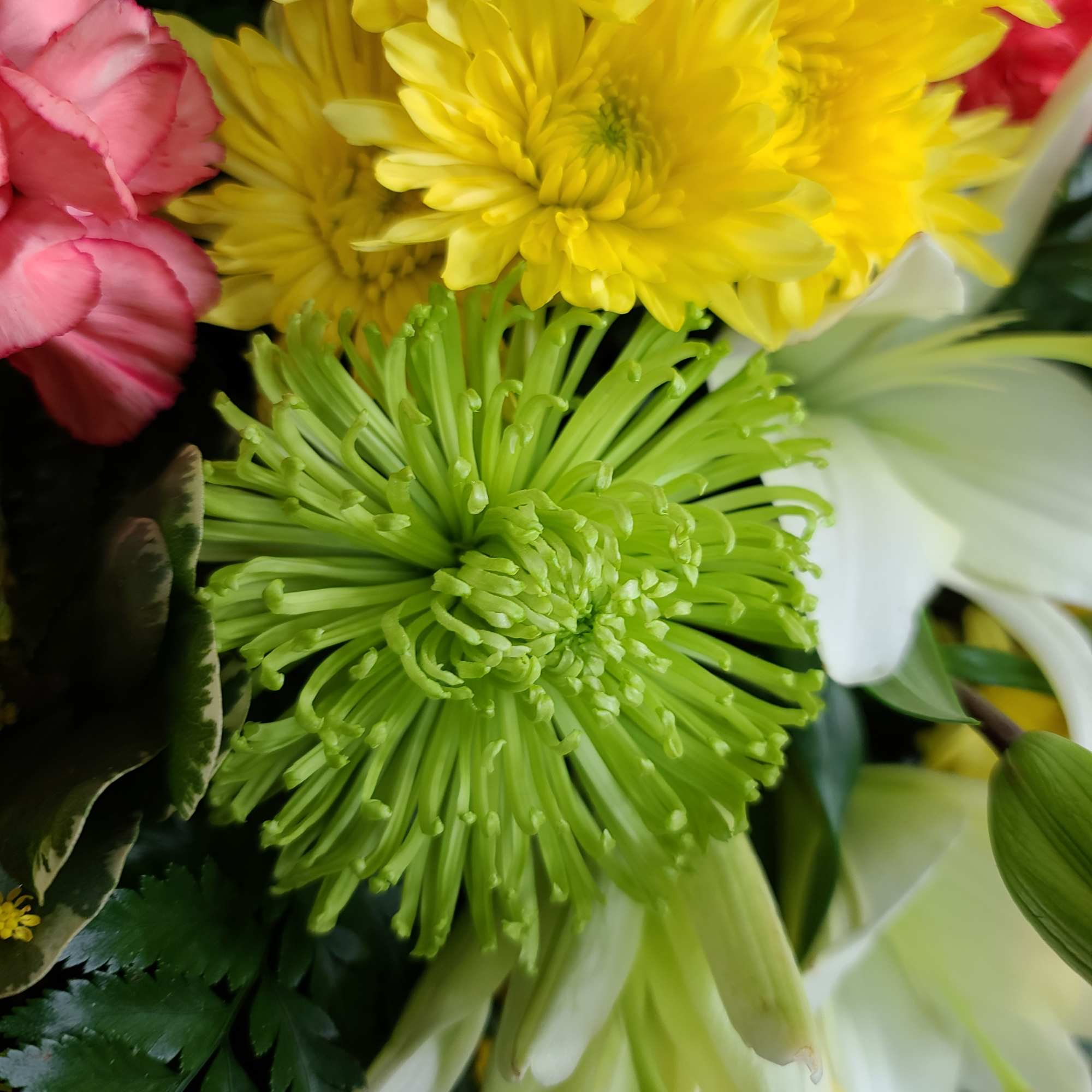 Close-up bouquet of yellow and green chrysanthemums with pink flowers