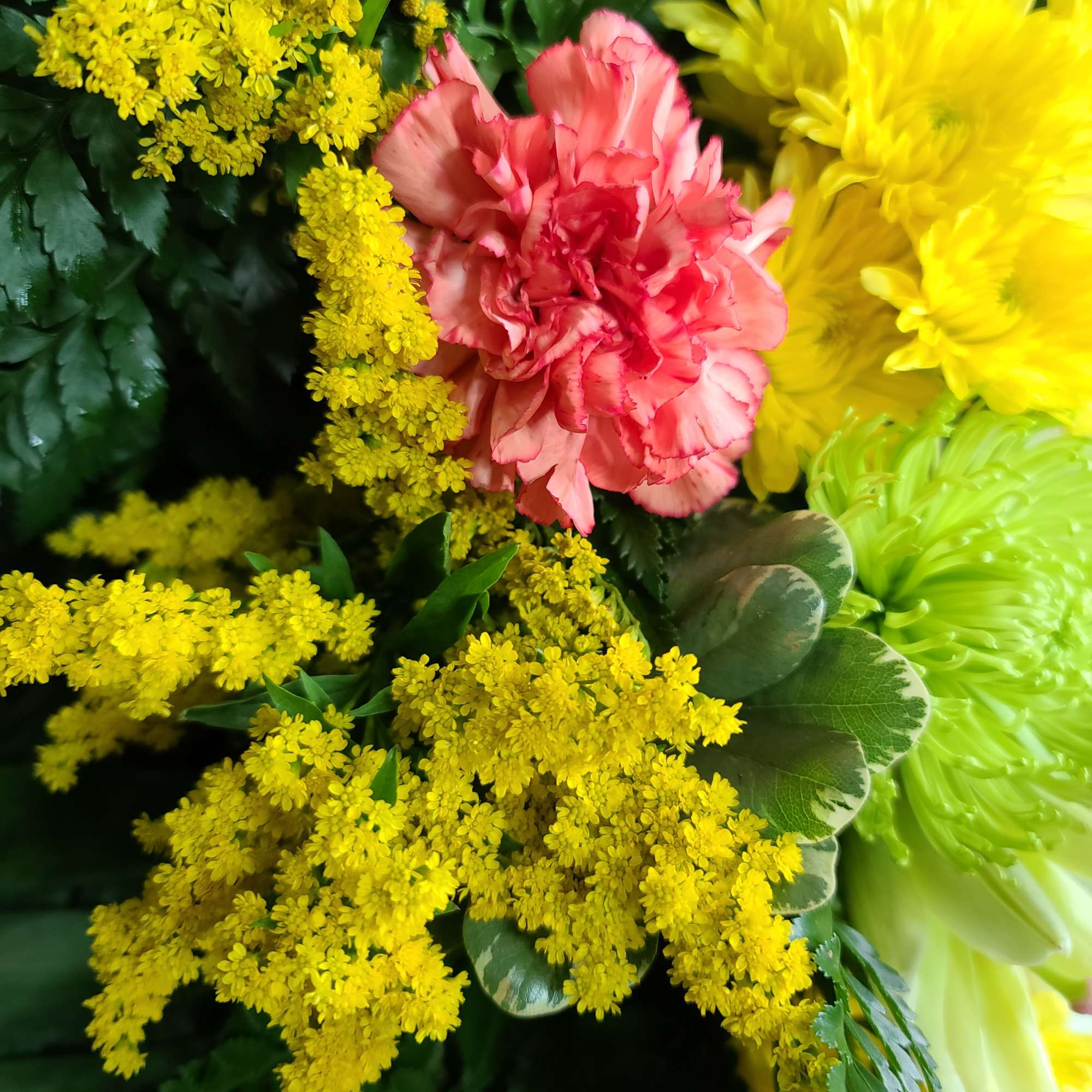 Pink carnation with yellow and green chrysanthemum blooms