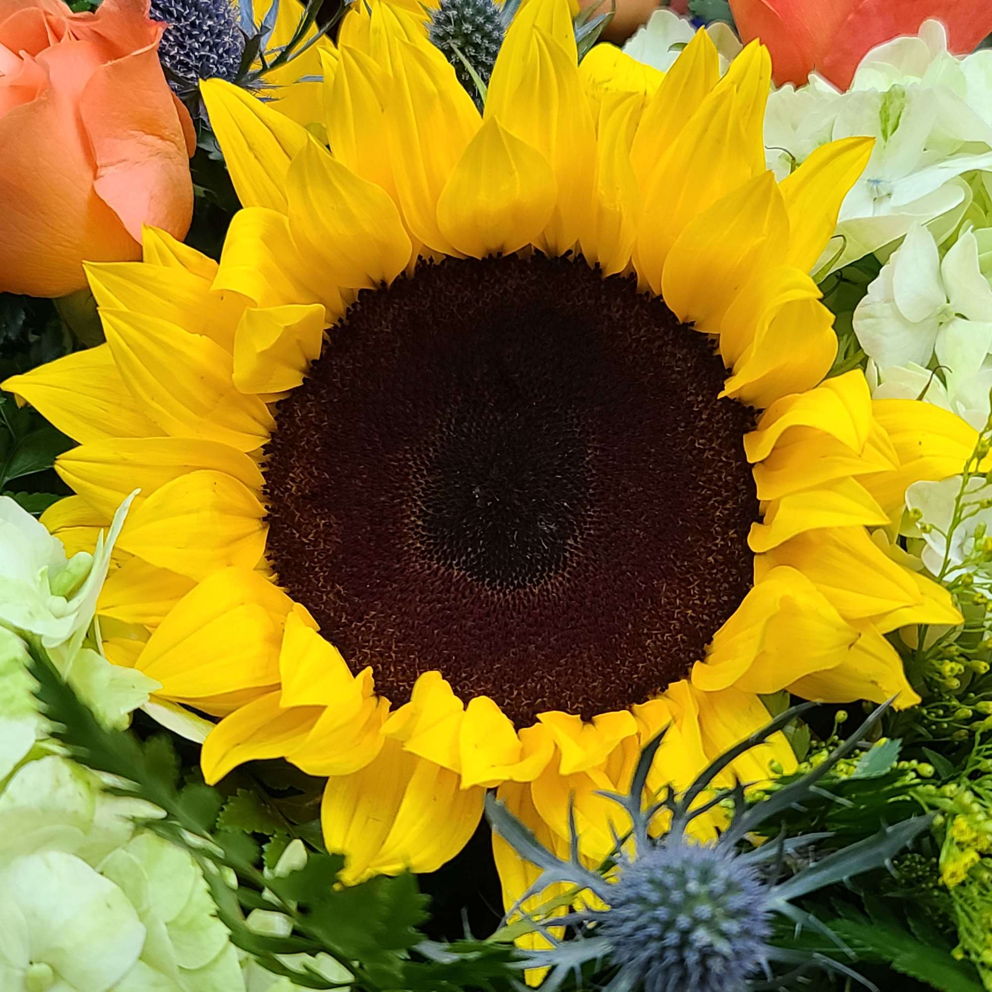 Sunflower surrounded by white and orange flowers