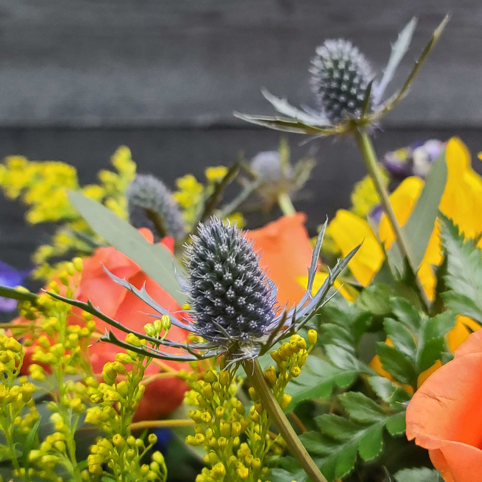 Close-up of a mixed bouquet with orange and yellow flowers and spiky blue thistle.