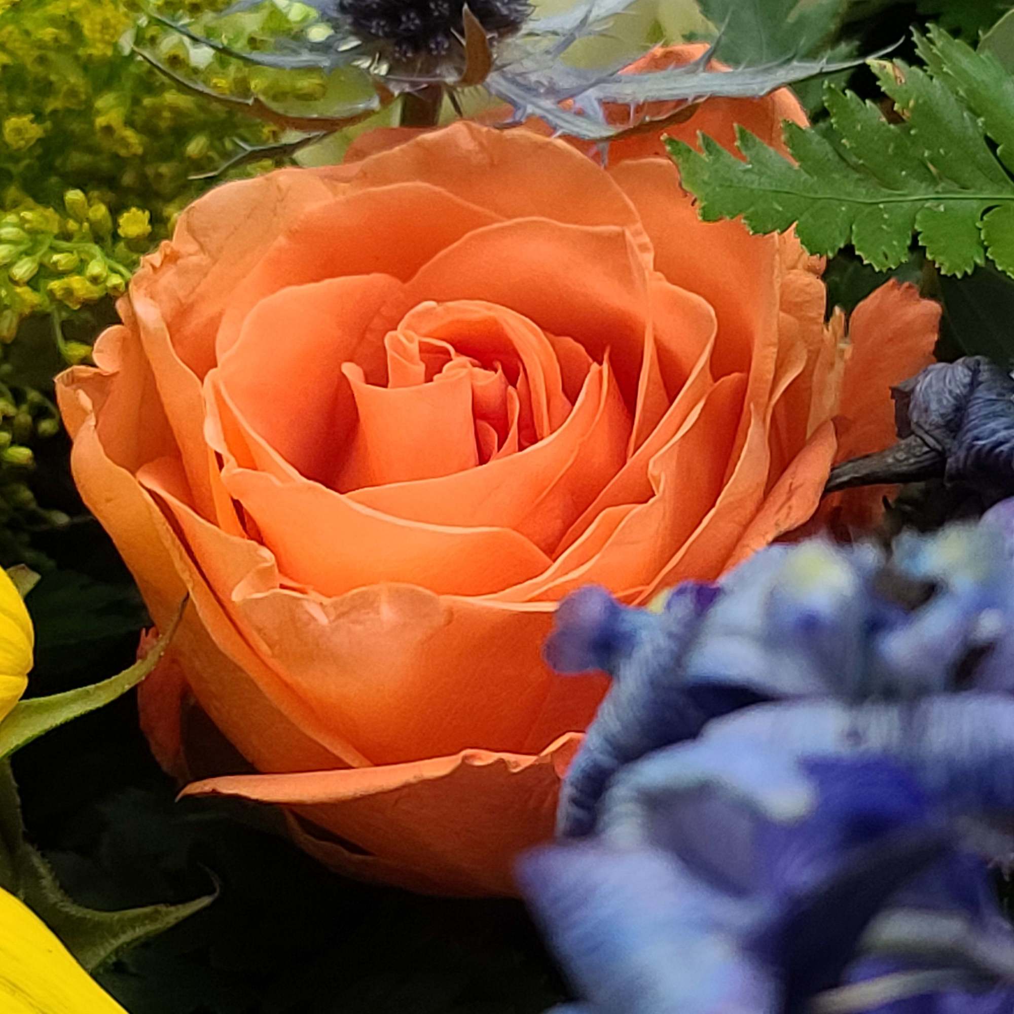 Close-up of an orange rose surrounded by other flowers