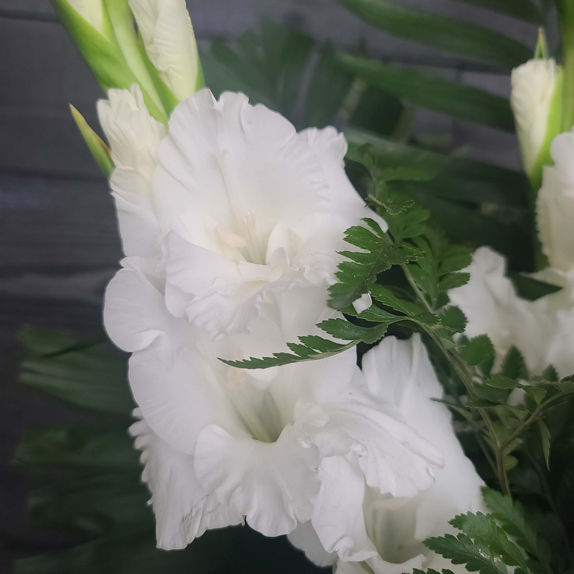Casket Spray only. Blue delphinium, white lilies and other seasonal blooms. Approximately, photo 2 of 5