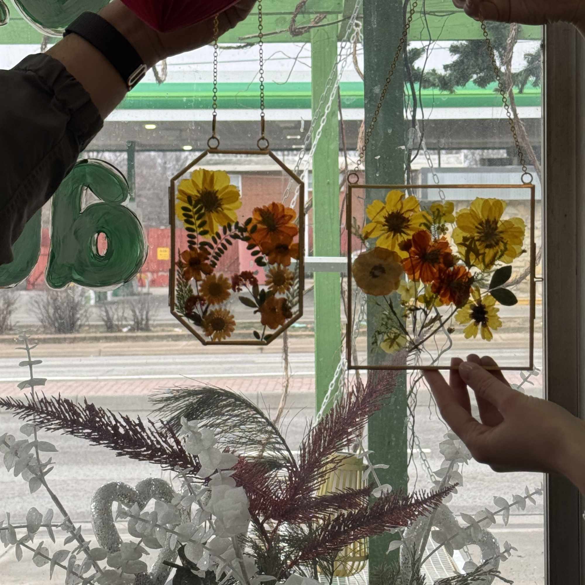 Pressed flower frames hanging in a window with hands holding them