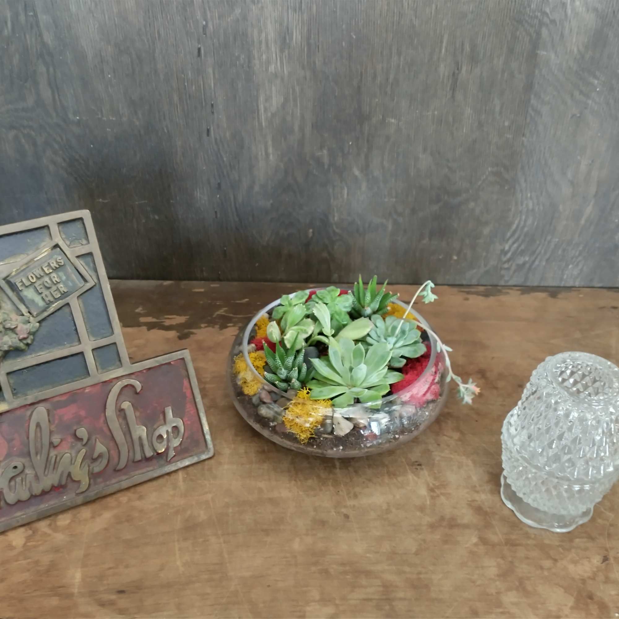 Succulent arrangement in a shallow glass bowl beside a decorative shop sign and glass votive holder.