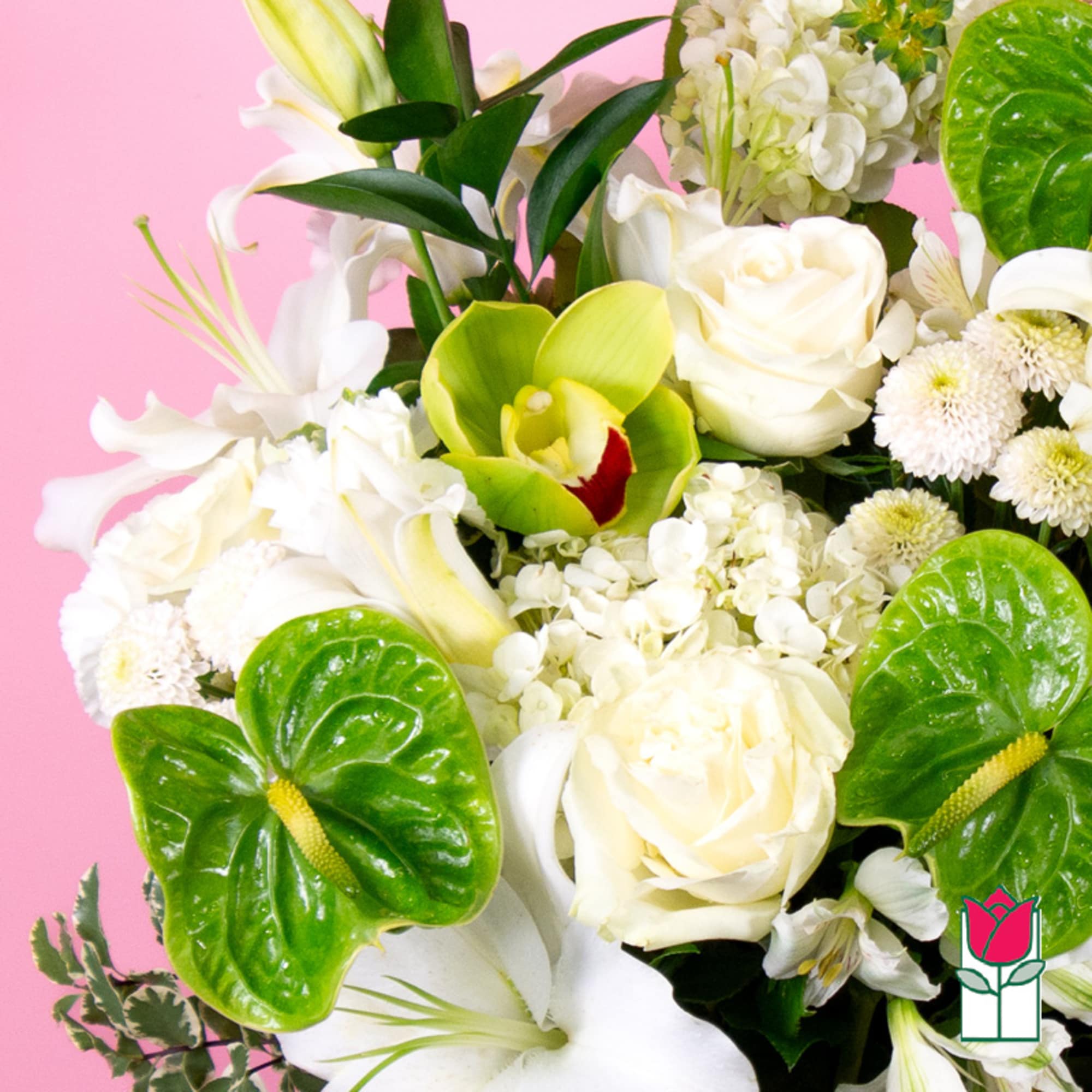 White roses and lilies with green anthuriums on a pink background