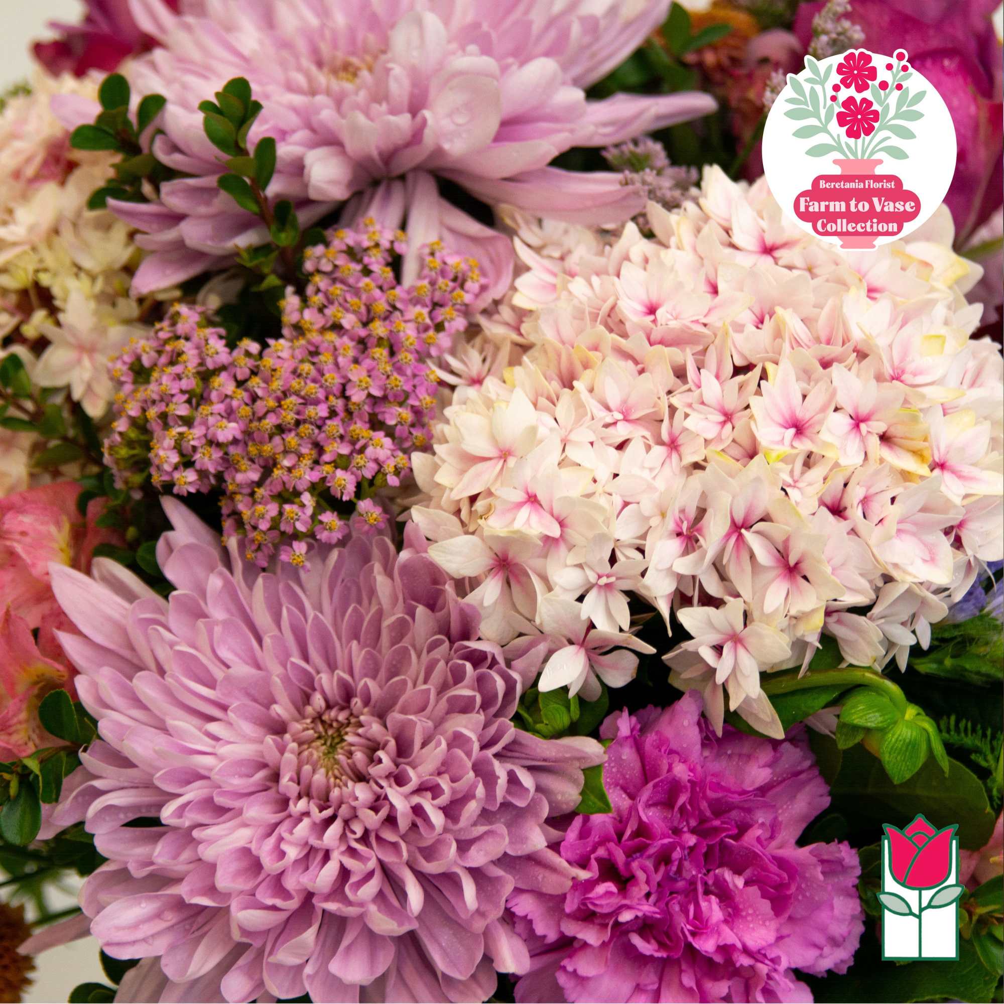 Pink and white chrysanthemum bouquet with small purple filler flowers