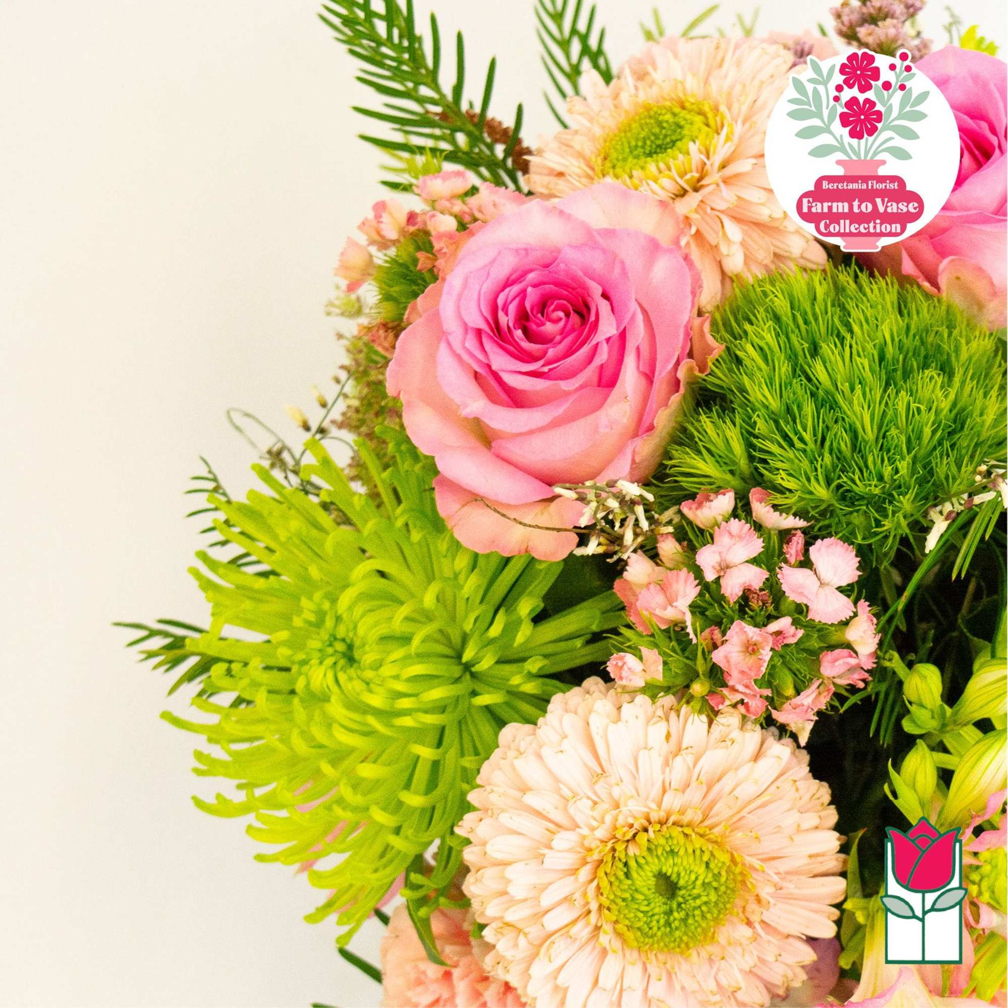 Pink roses and pale daisies in a mixed bouquet