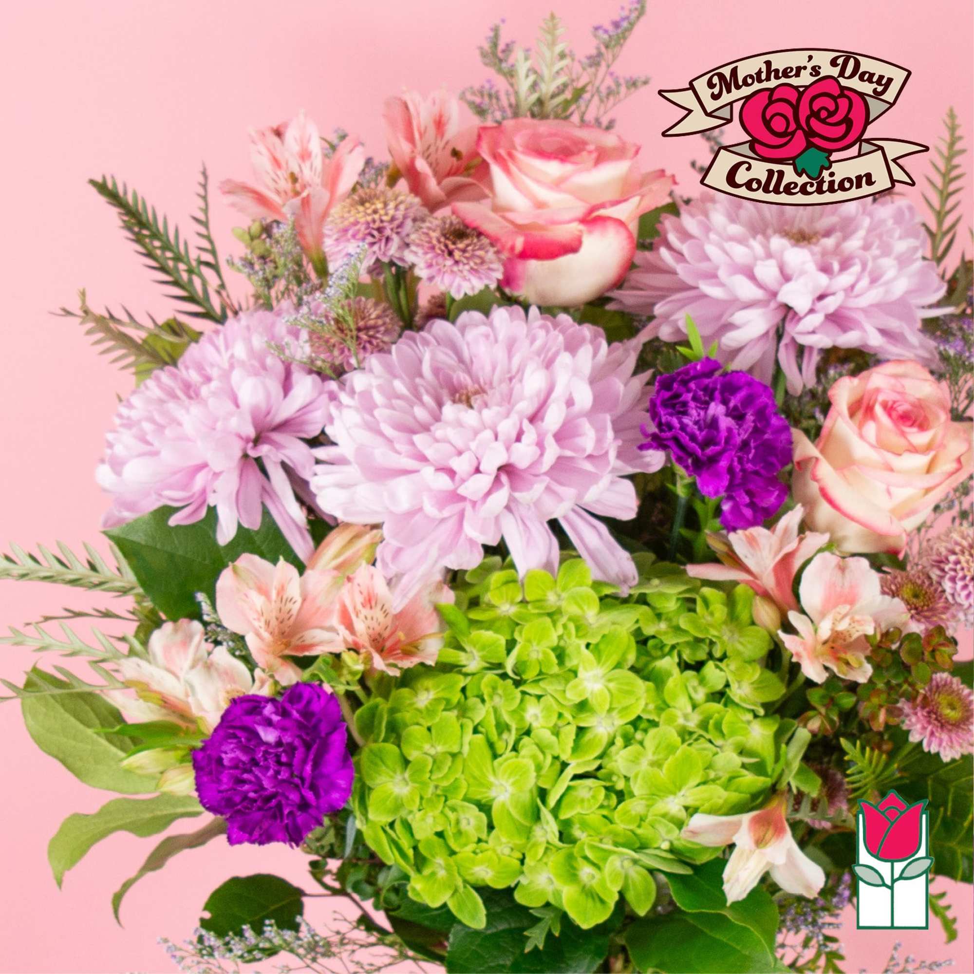 Pink and purple flower bouquet with green hydrangea on a pink background