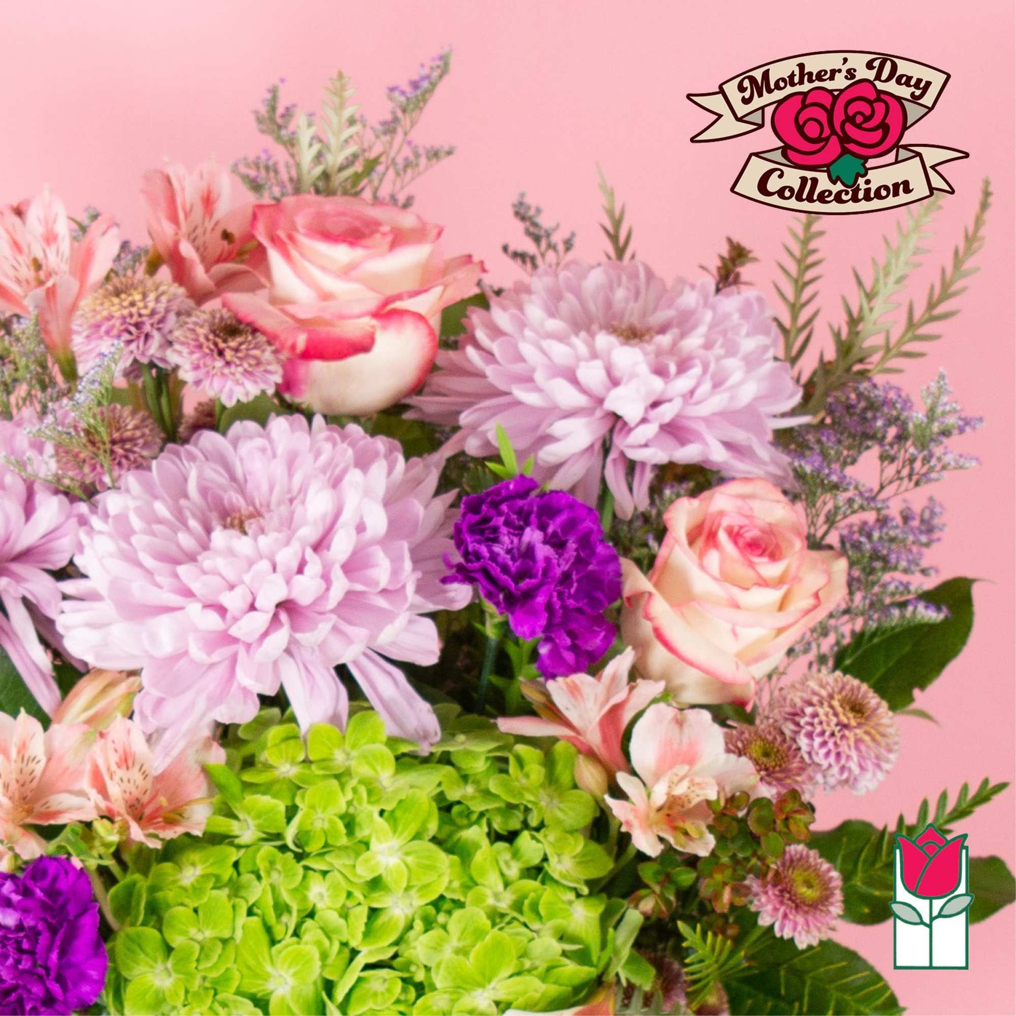 Pink and lavender bouquet with roses, chrysanthemums, and green hydrangea
